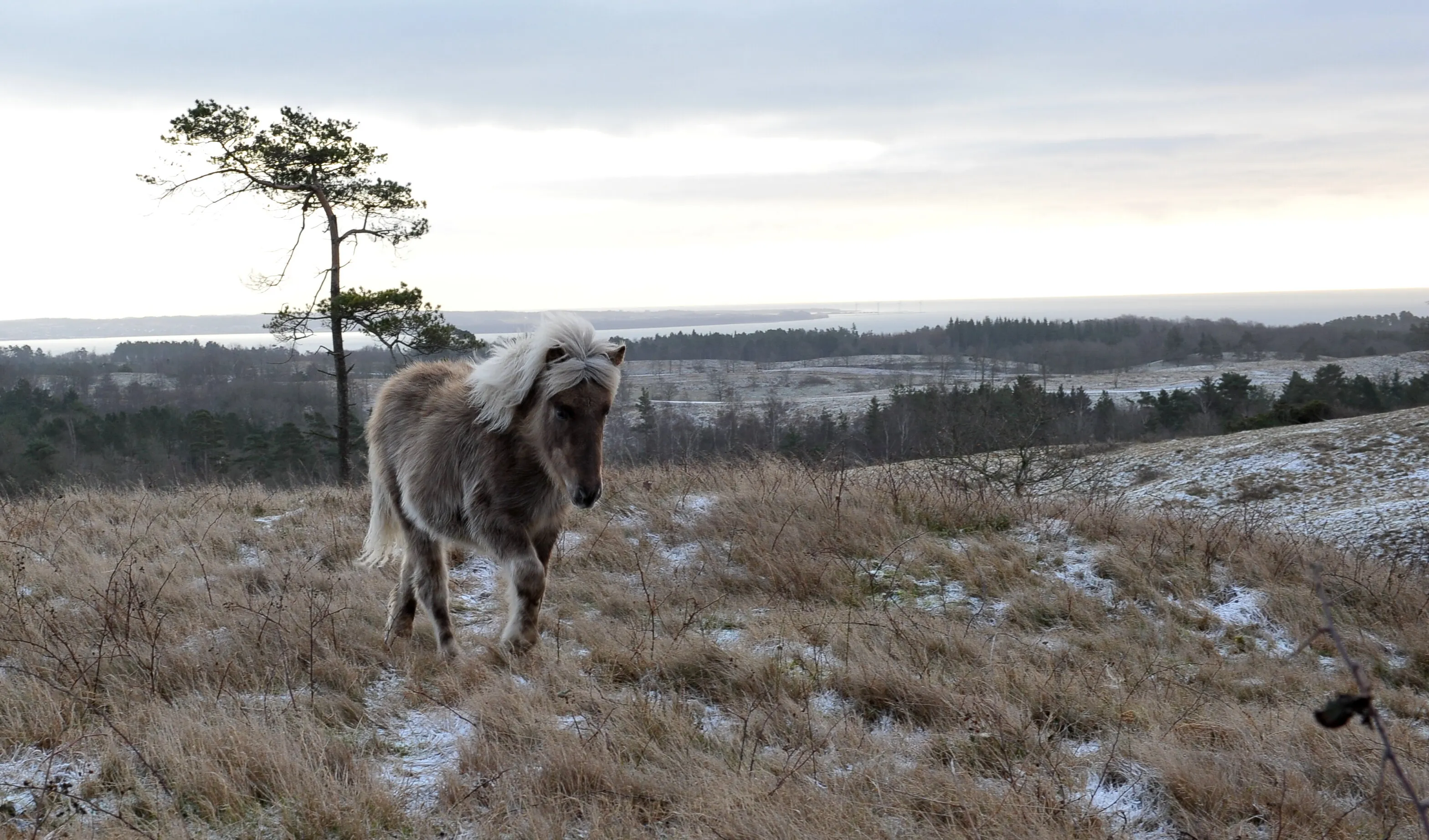 Mols Bjerge