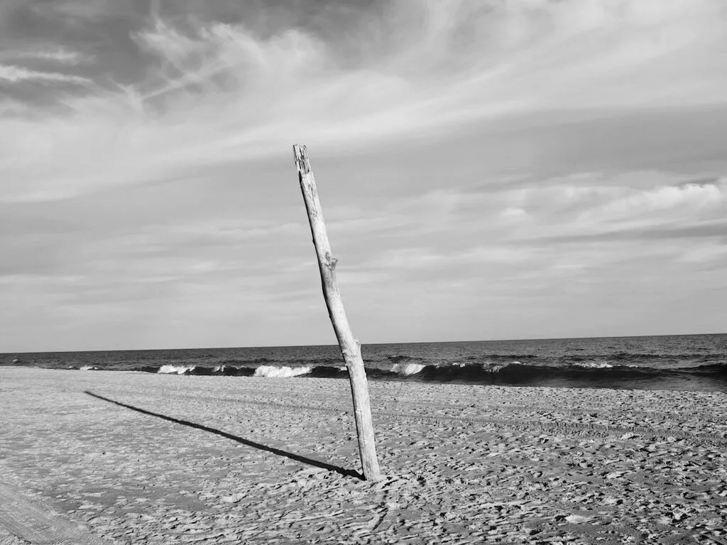 stranded