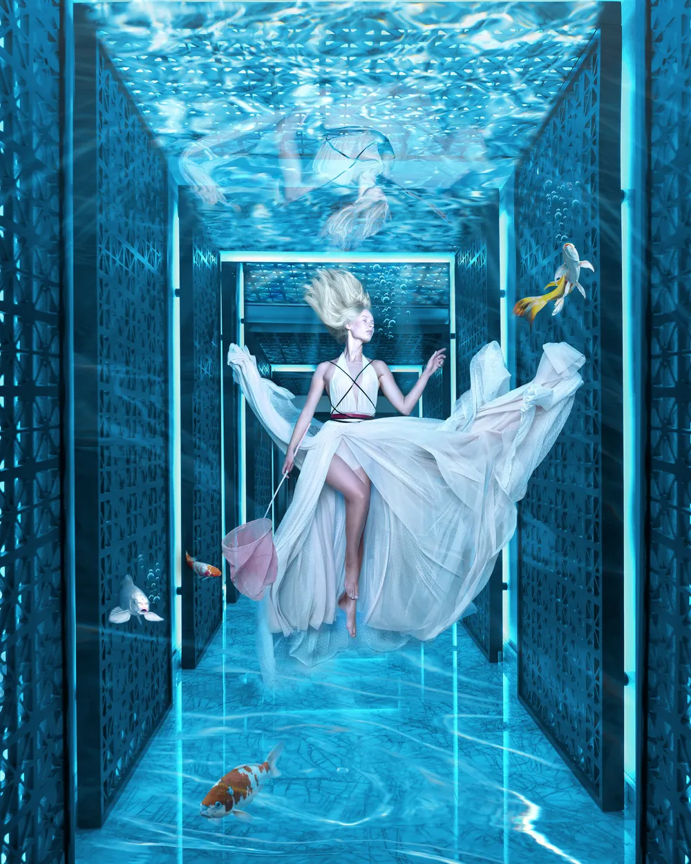 Entry 2461906