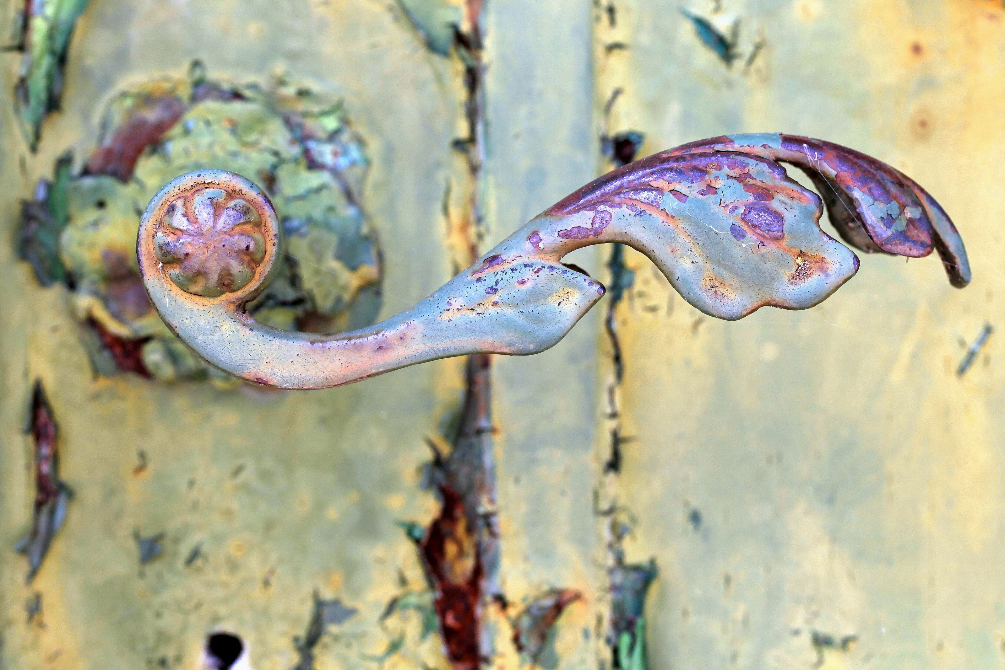 Verdigris