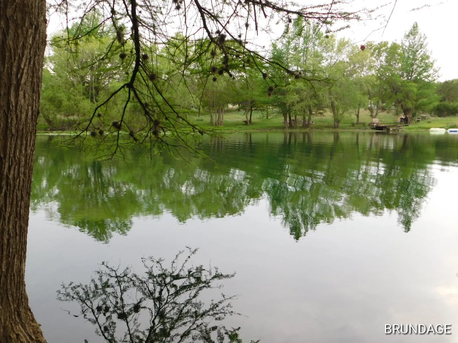 Reflection in the water