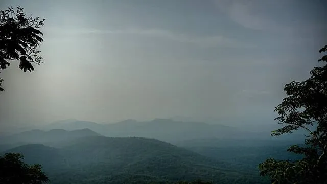 Banner image