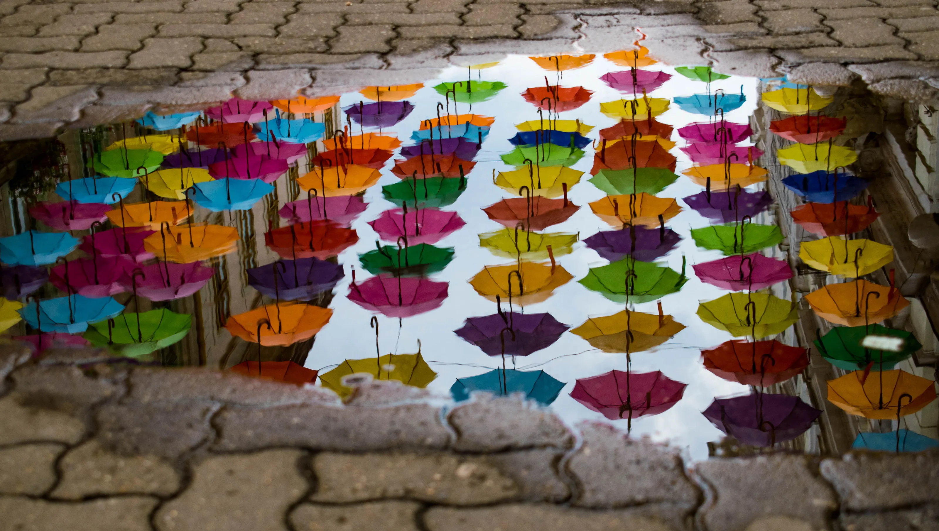 umbrella ground view