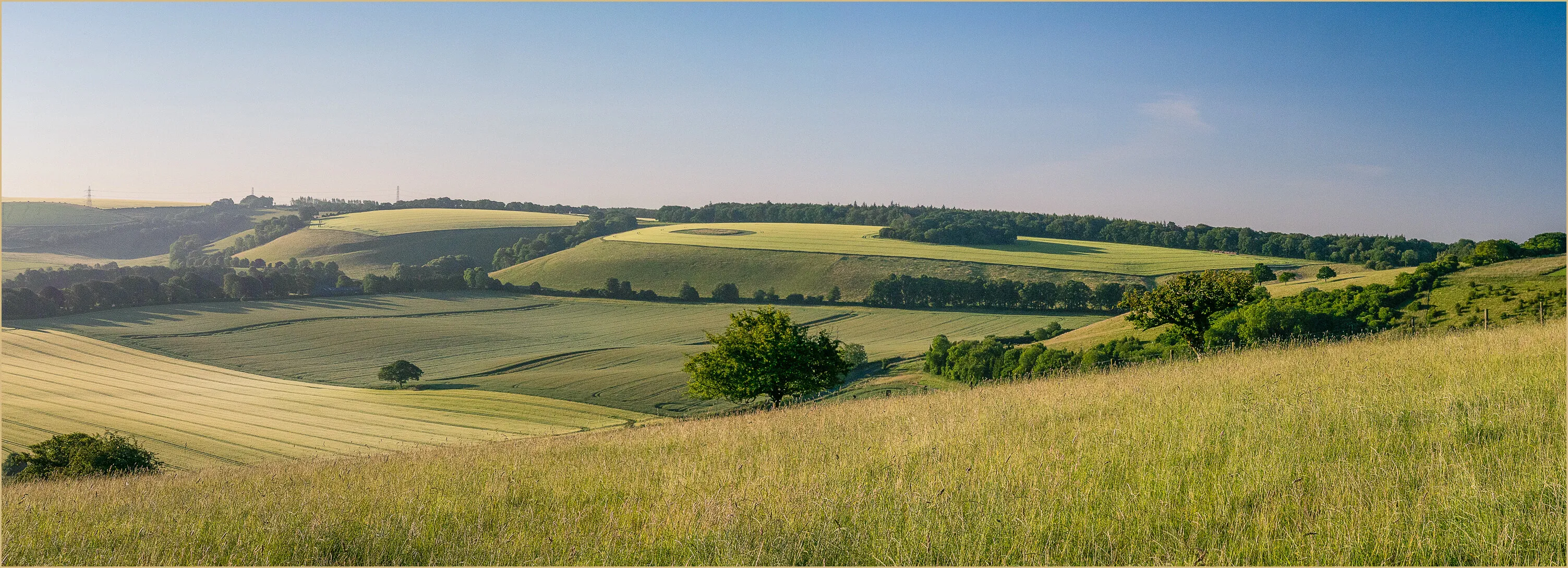 Early morning on the South Downs