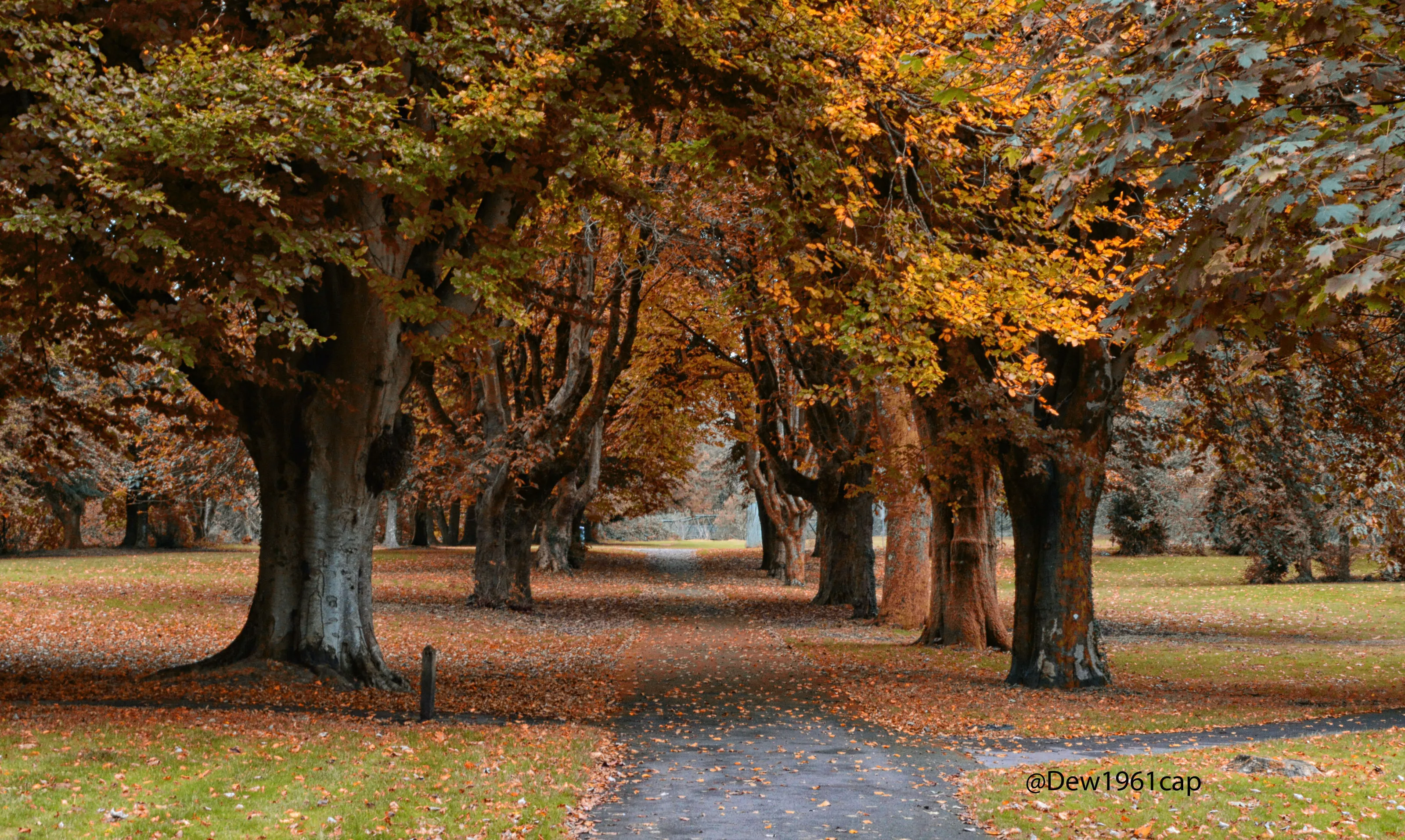Autumn colours