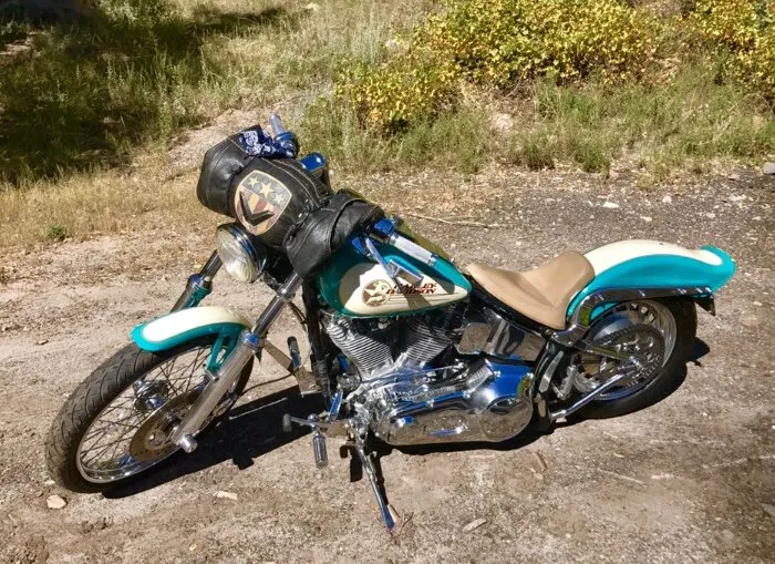 The Henche Horse