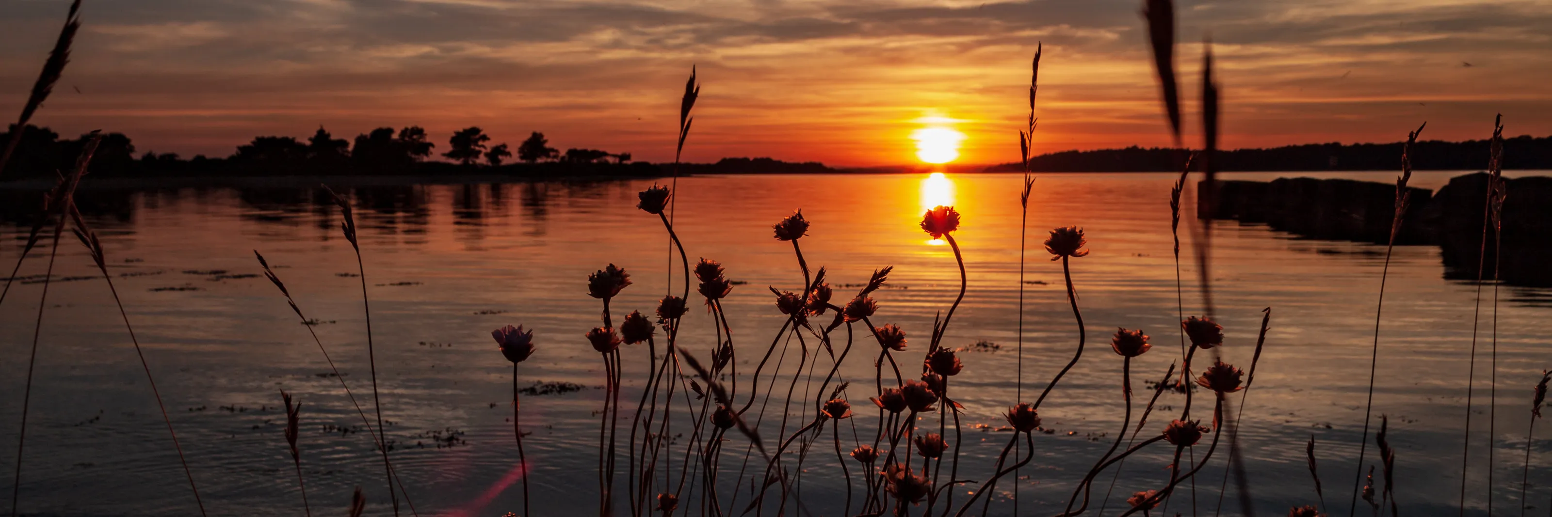 Sunset in Dorset