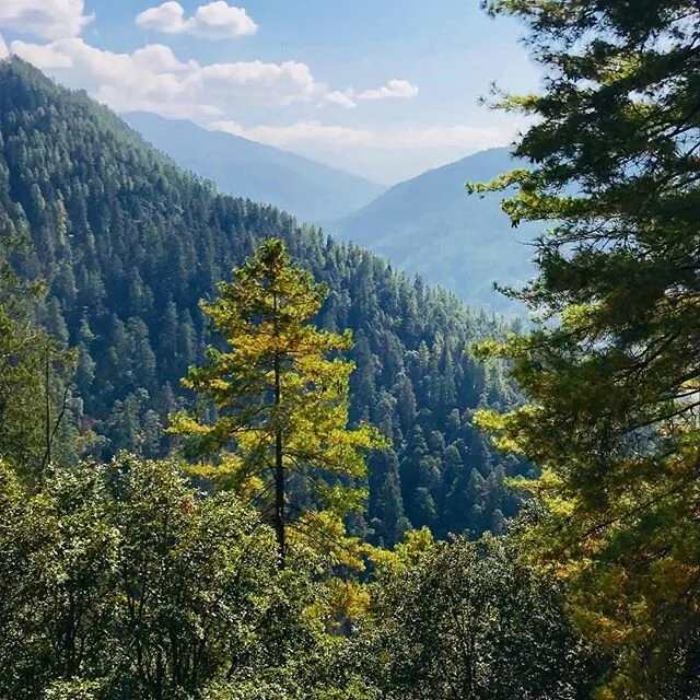 Love for Nature