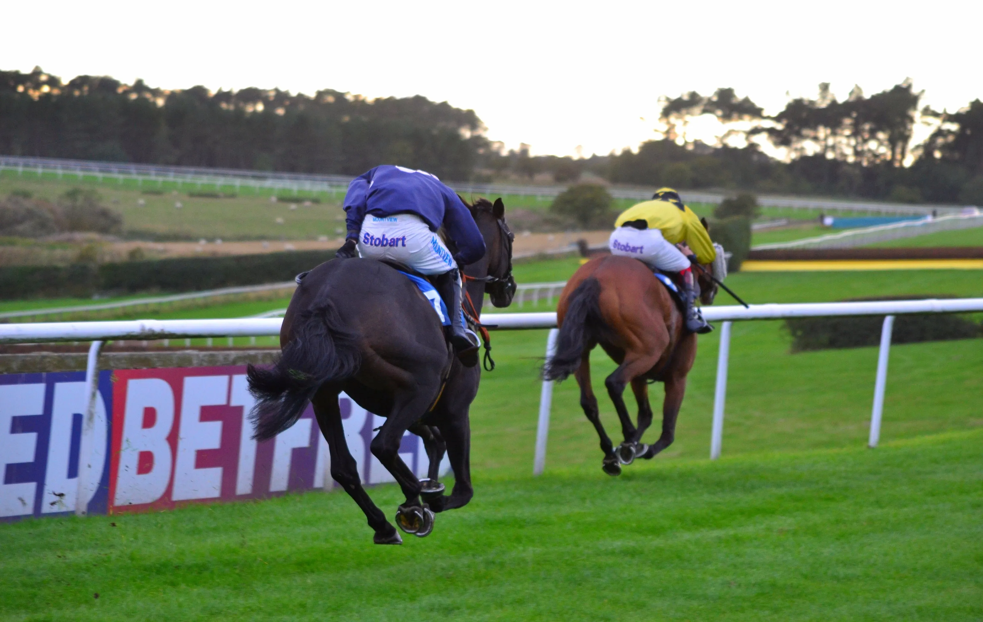 Hexham Racecourse