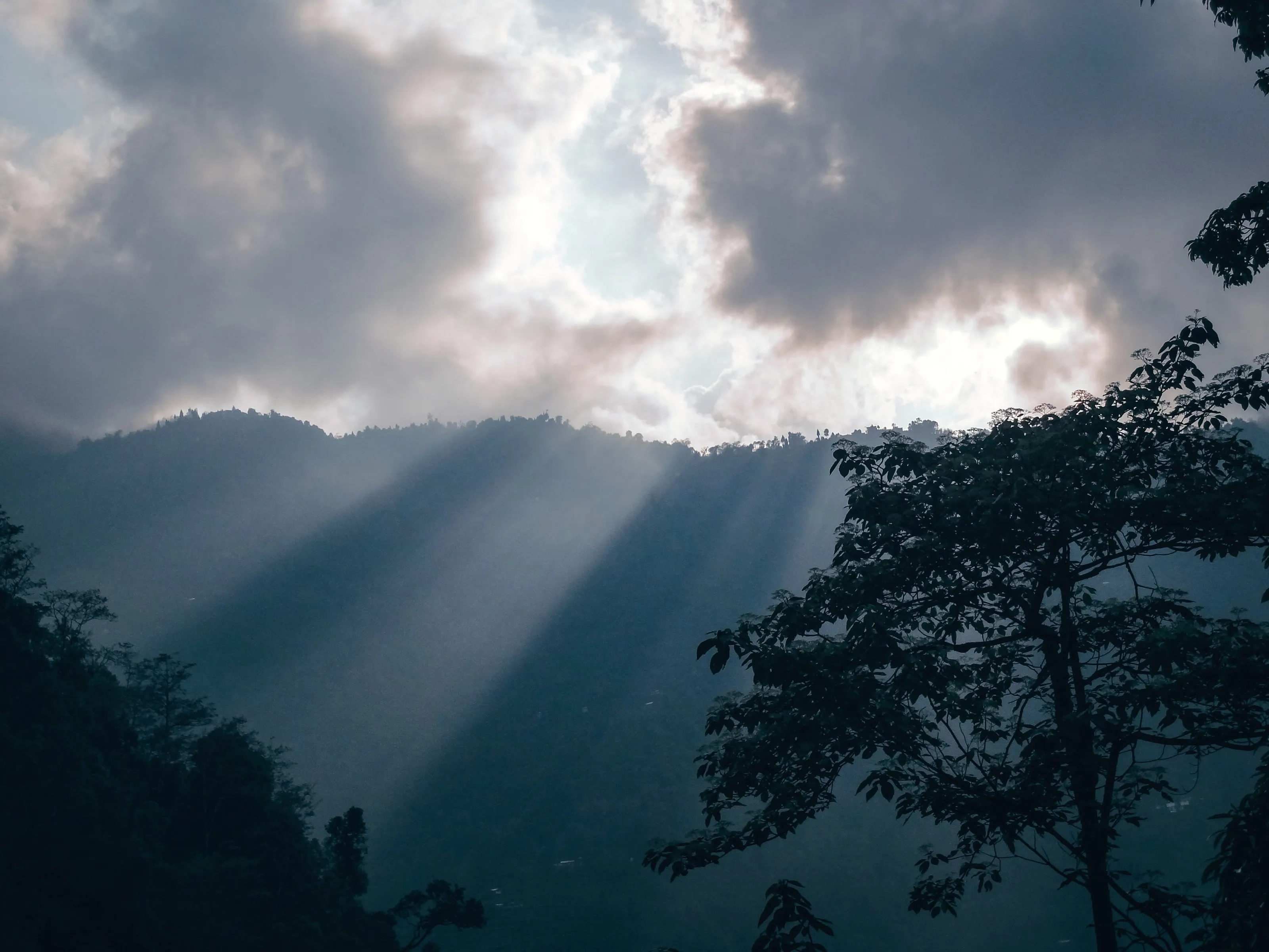 Heaven of the Earth