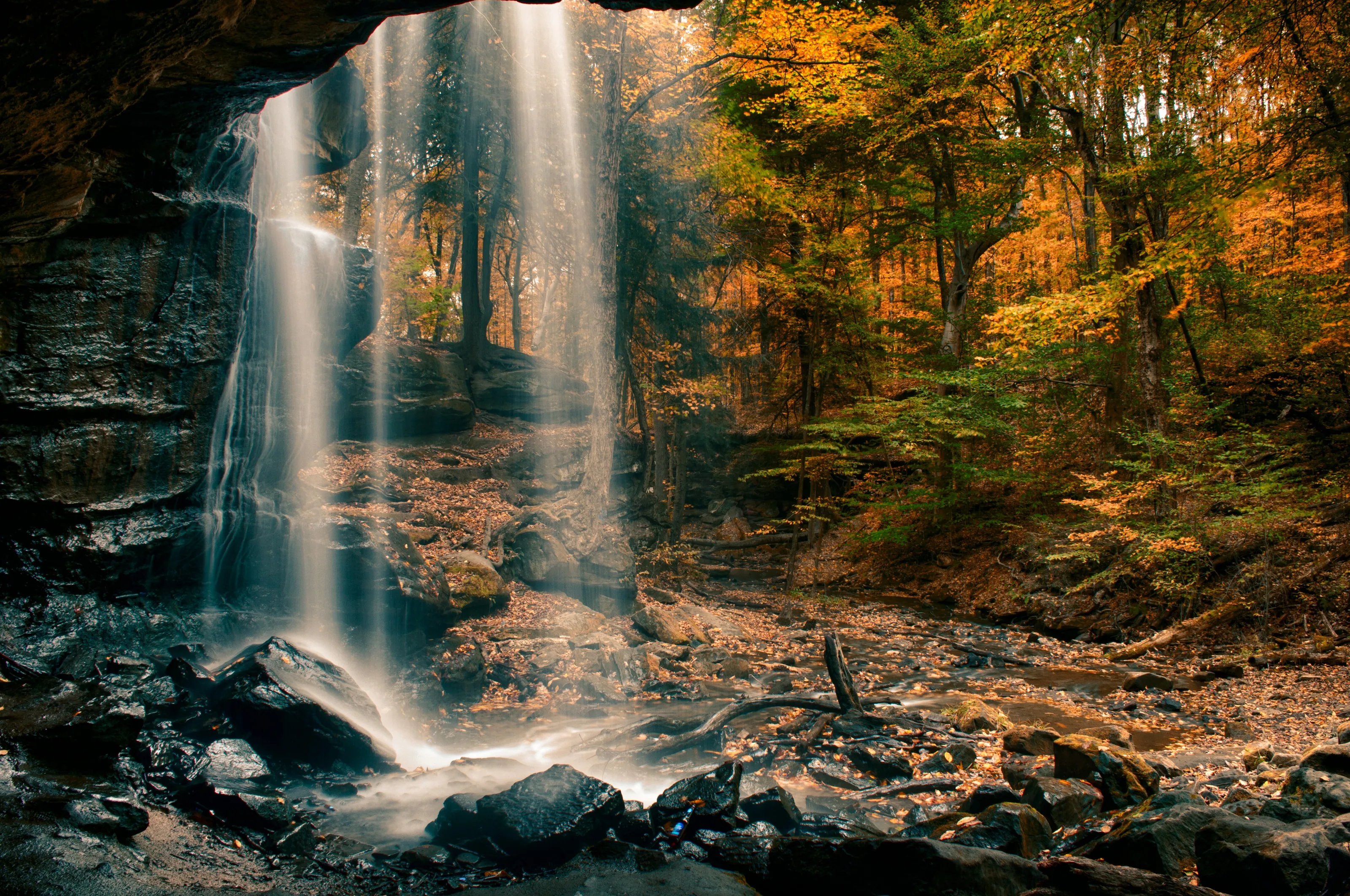Lower Dundee Falls in Fall