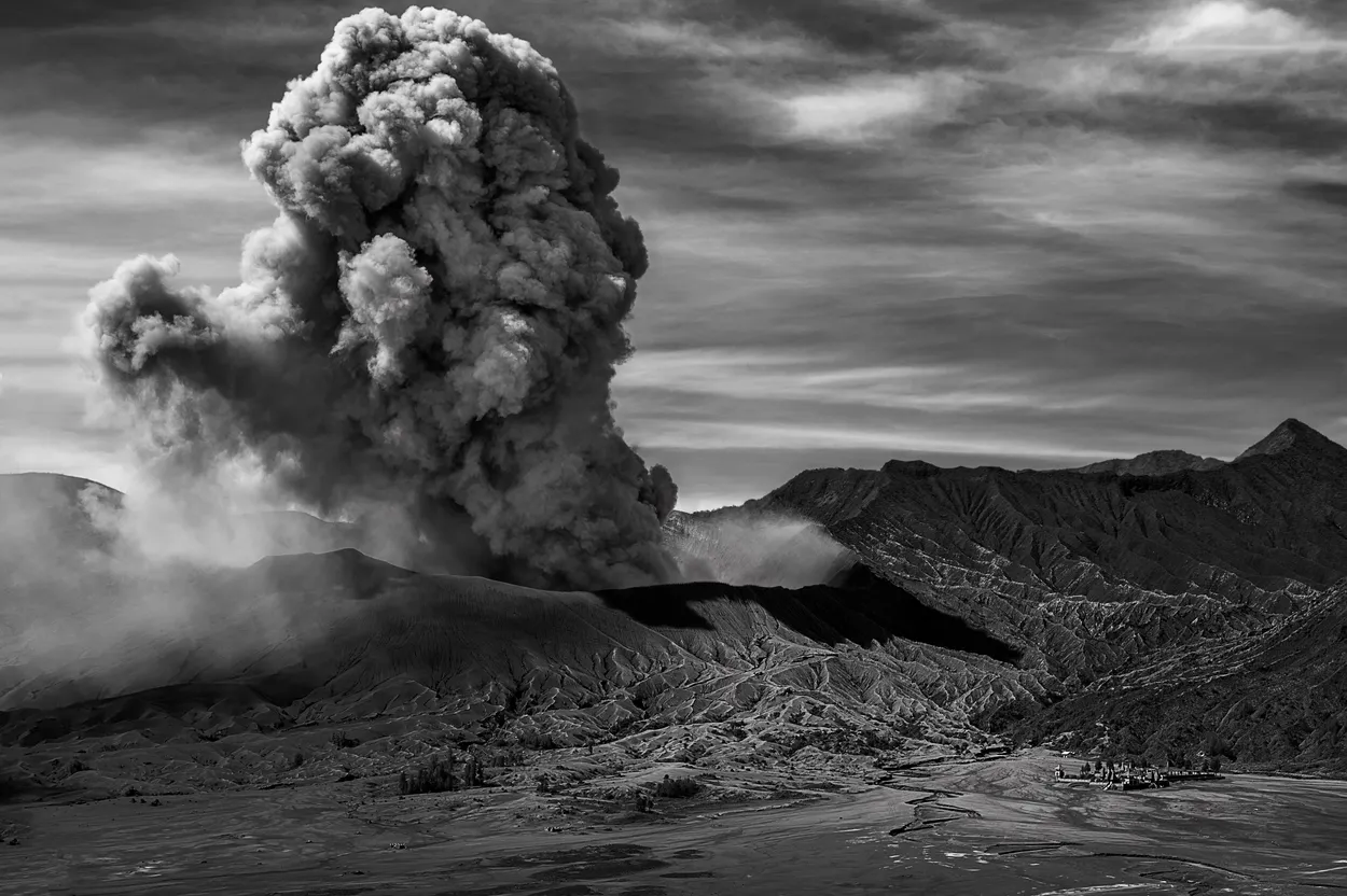 Entry 477594