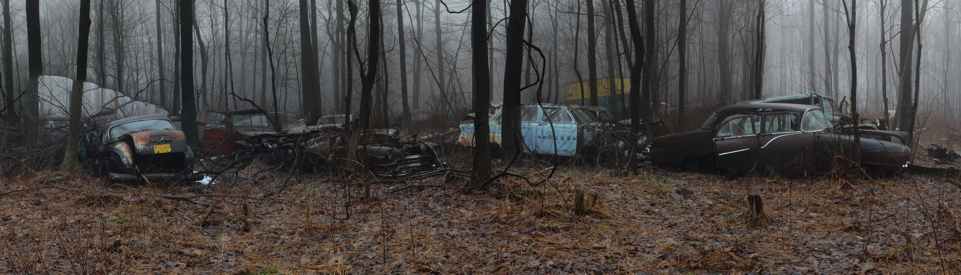 Classic Junkyard in the Forrest Mist Kramer Pennsylvania