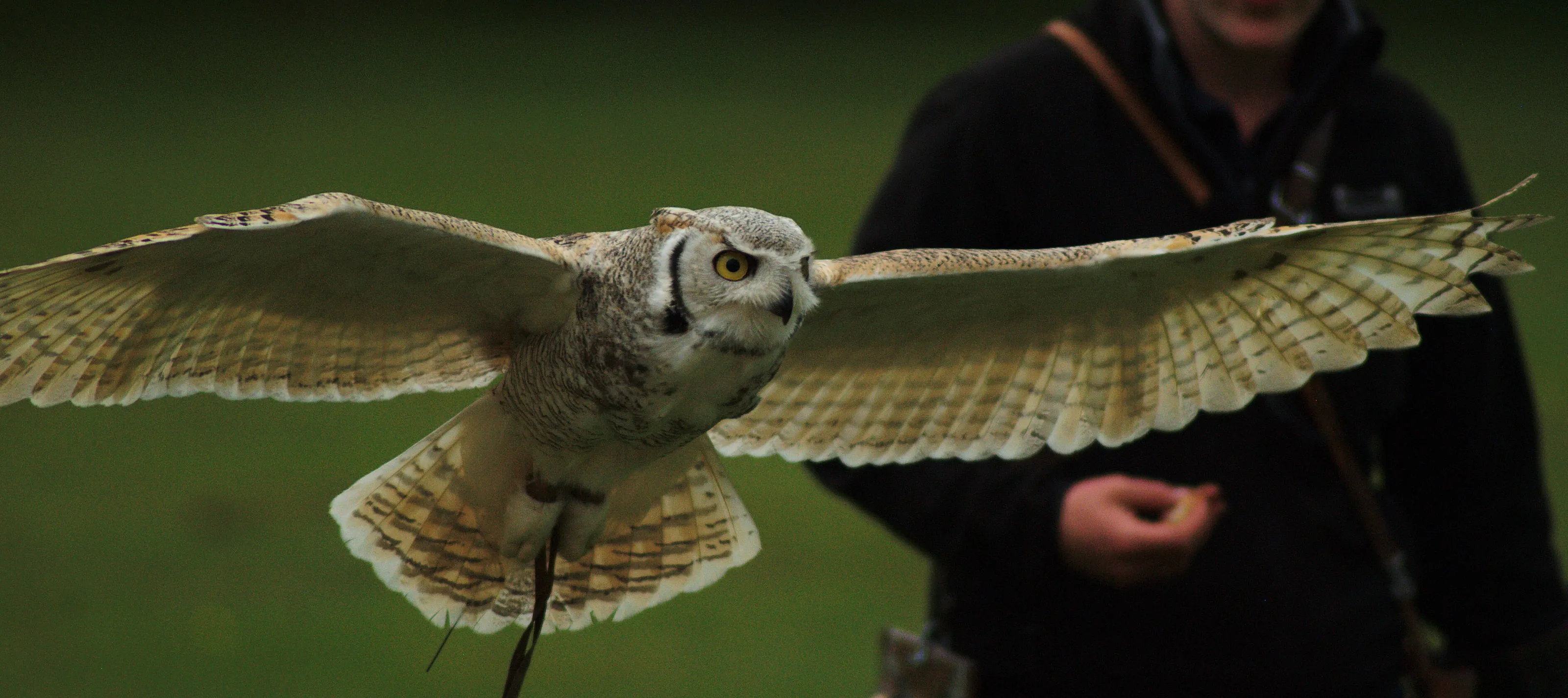 in flight