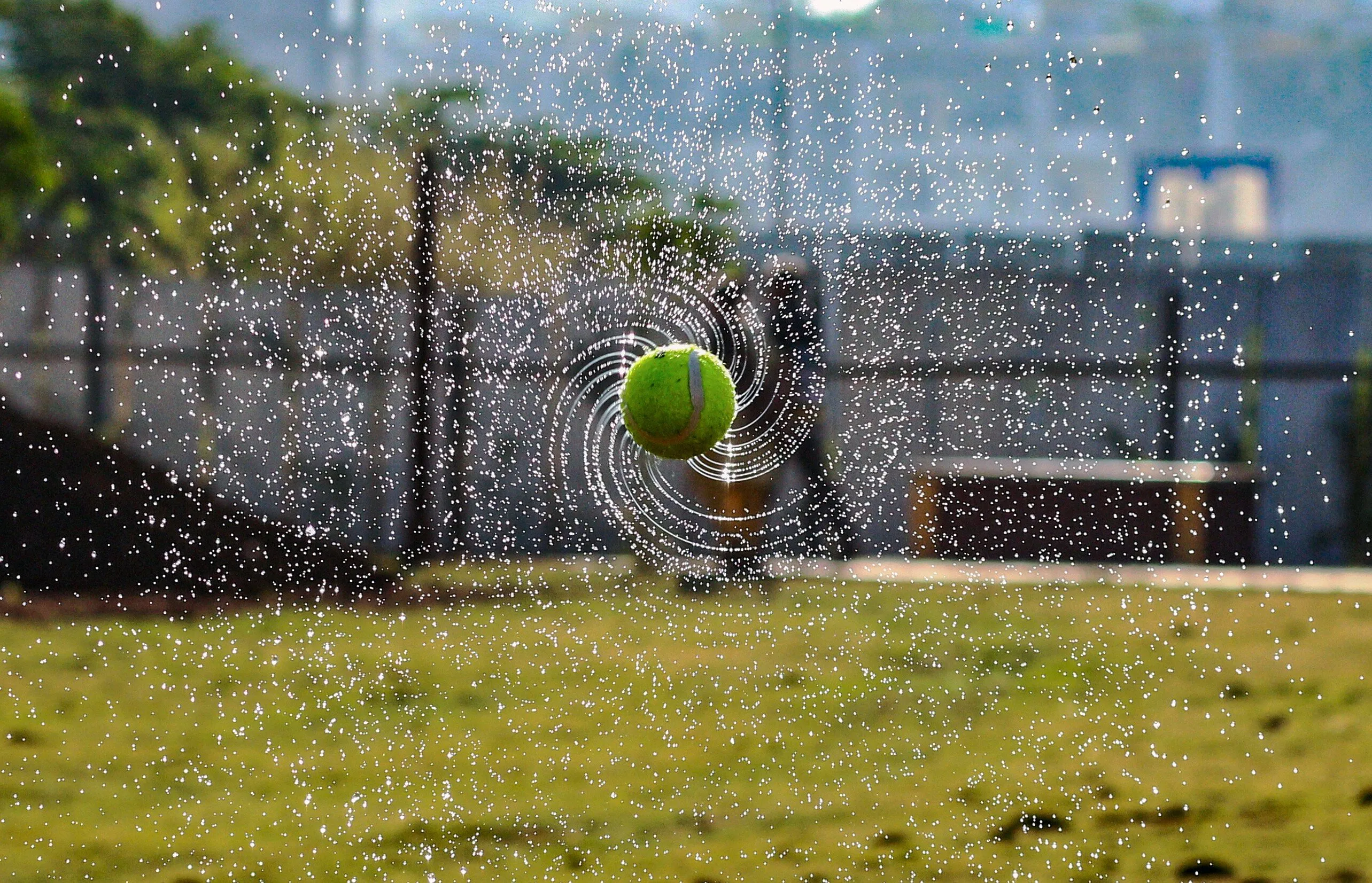 Spin The Ball