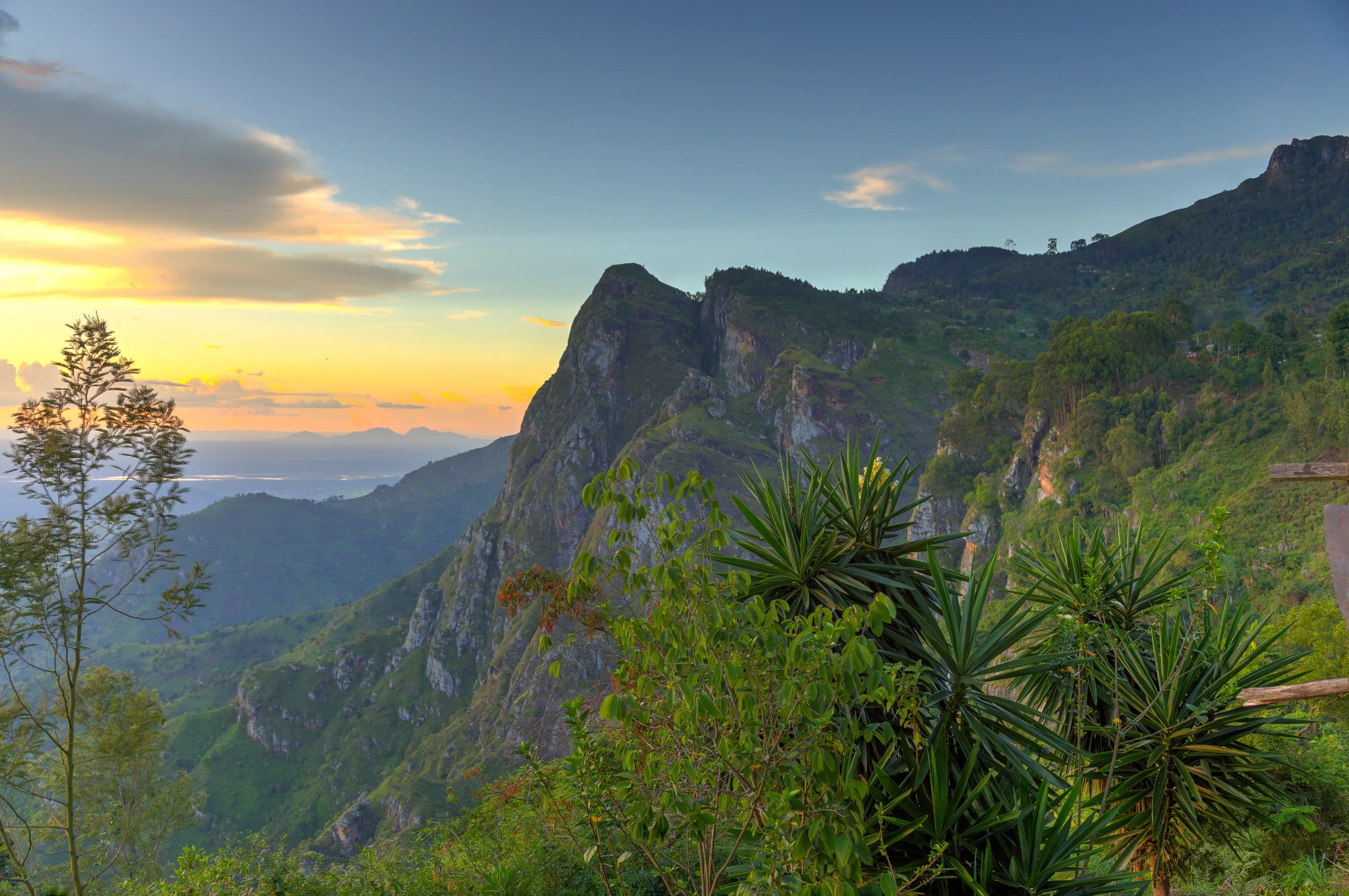 Usambara Mountains