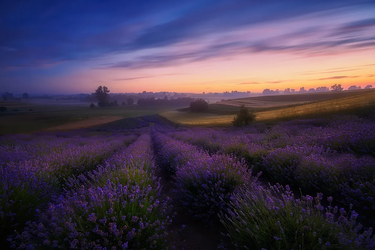 Entry 3891282