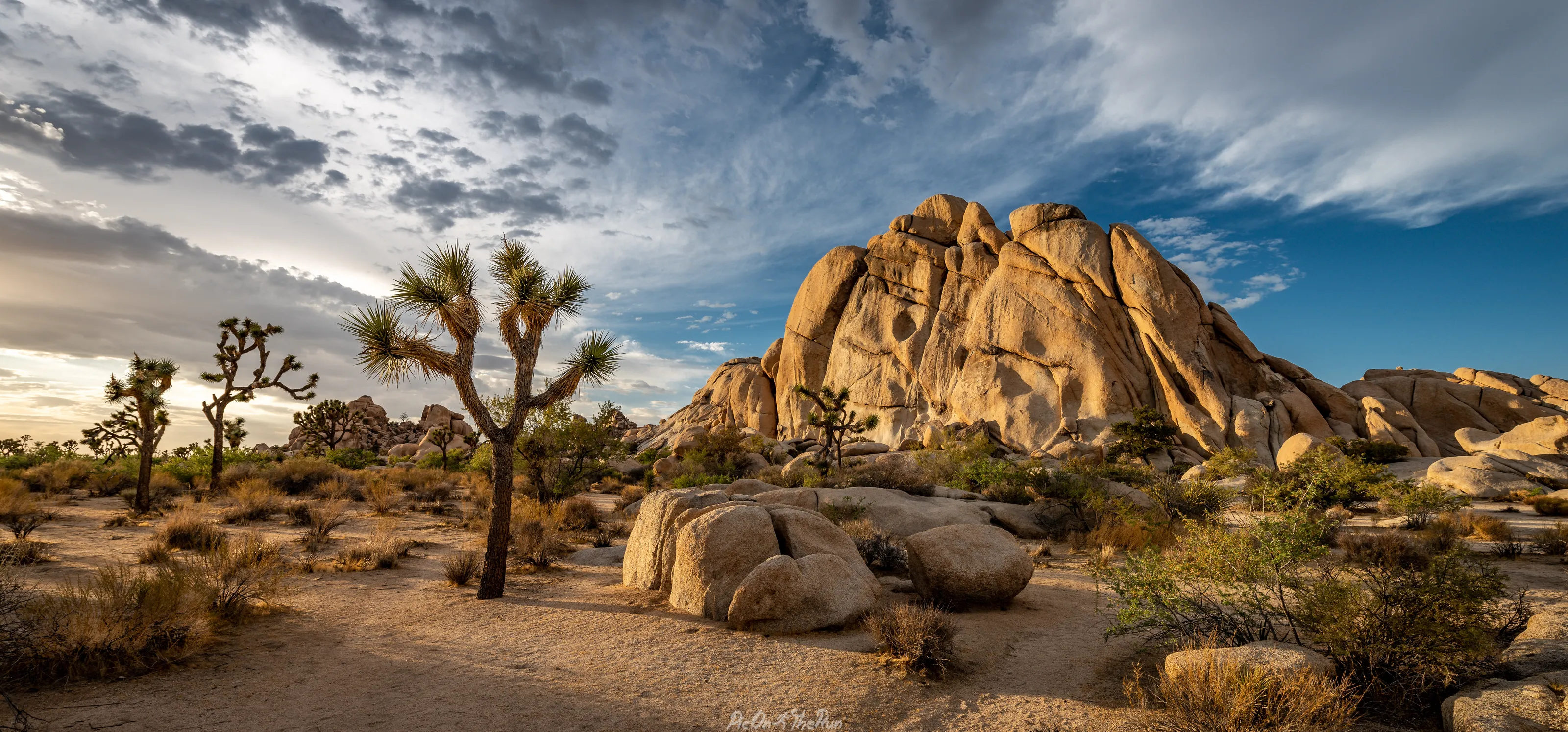 Joshua Tree NPS