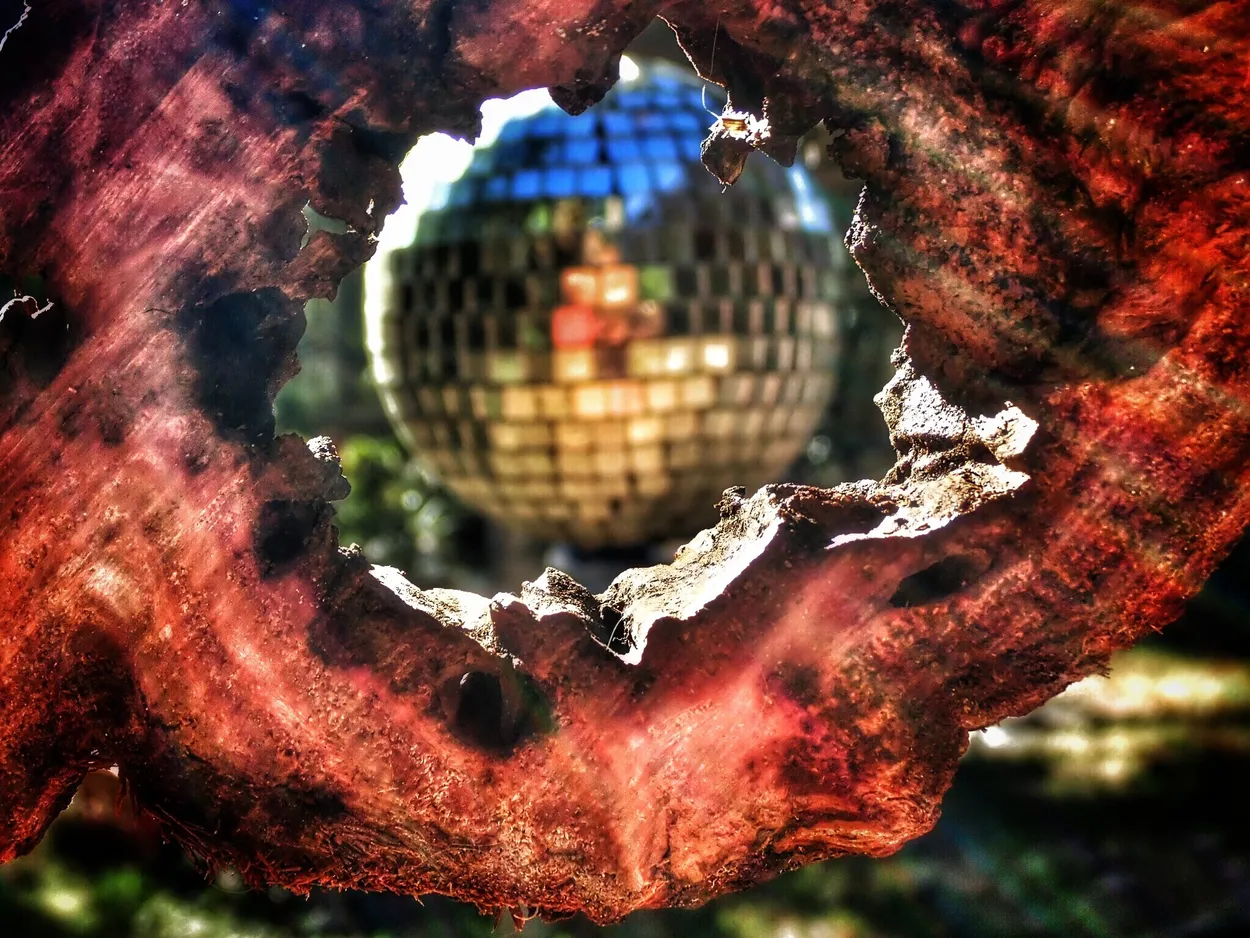 Entry 2440321