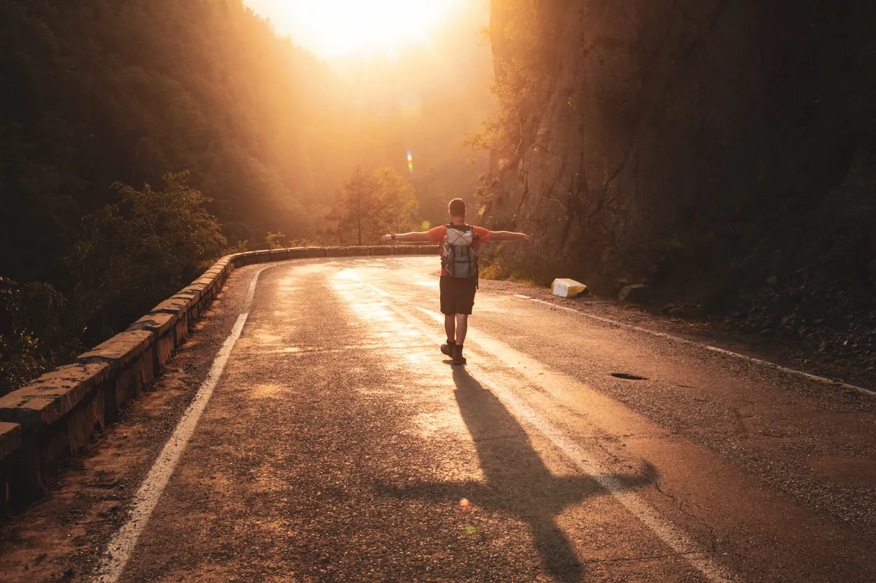 Entry 2446007