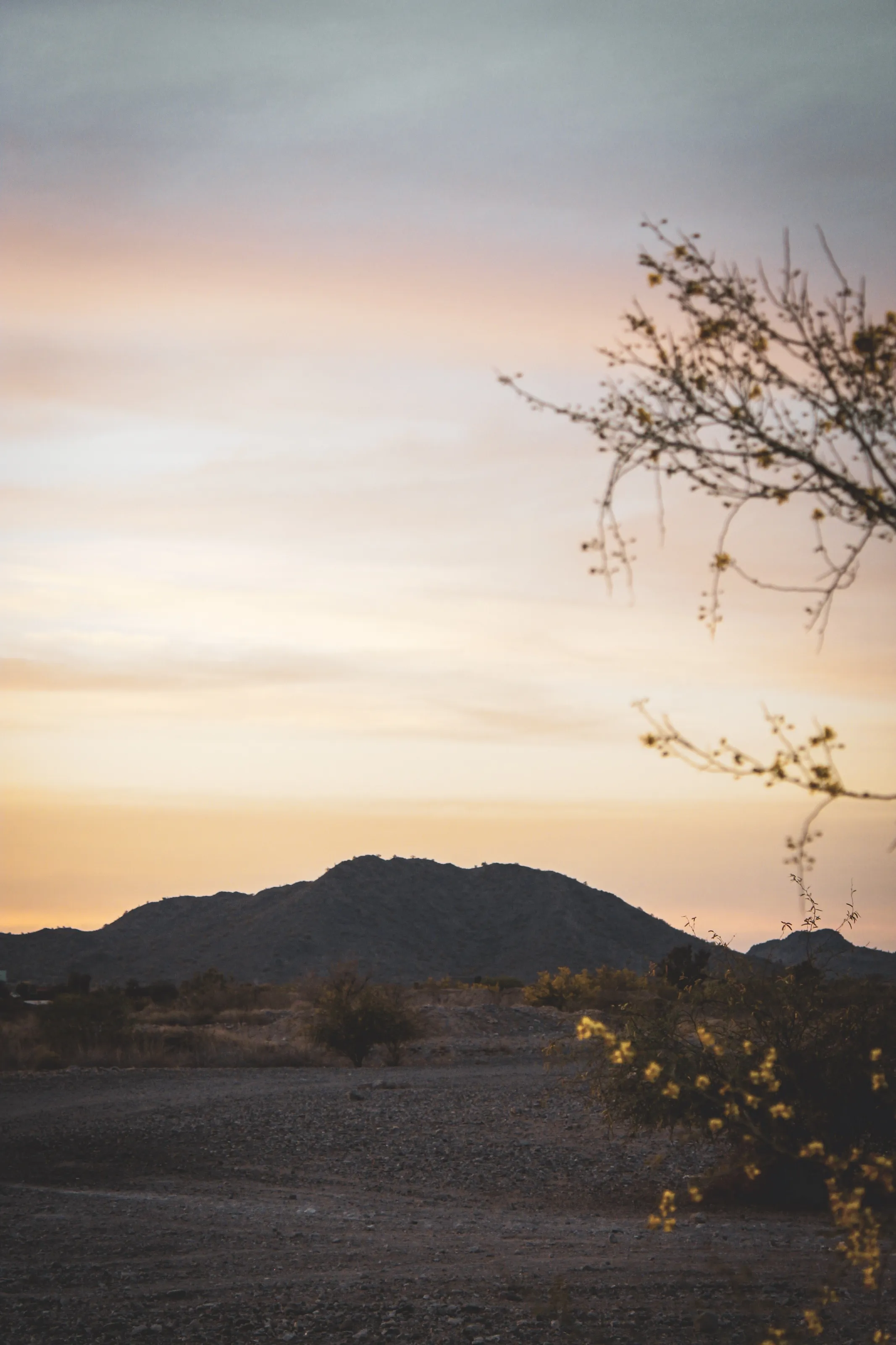 Warm tones in the heart of Arizona