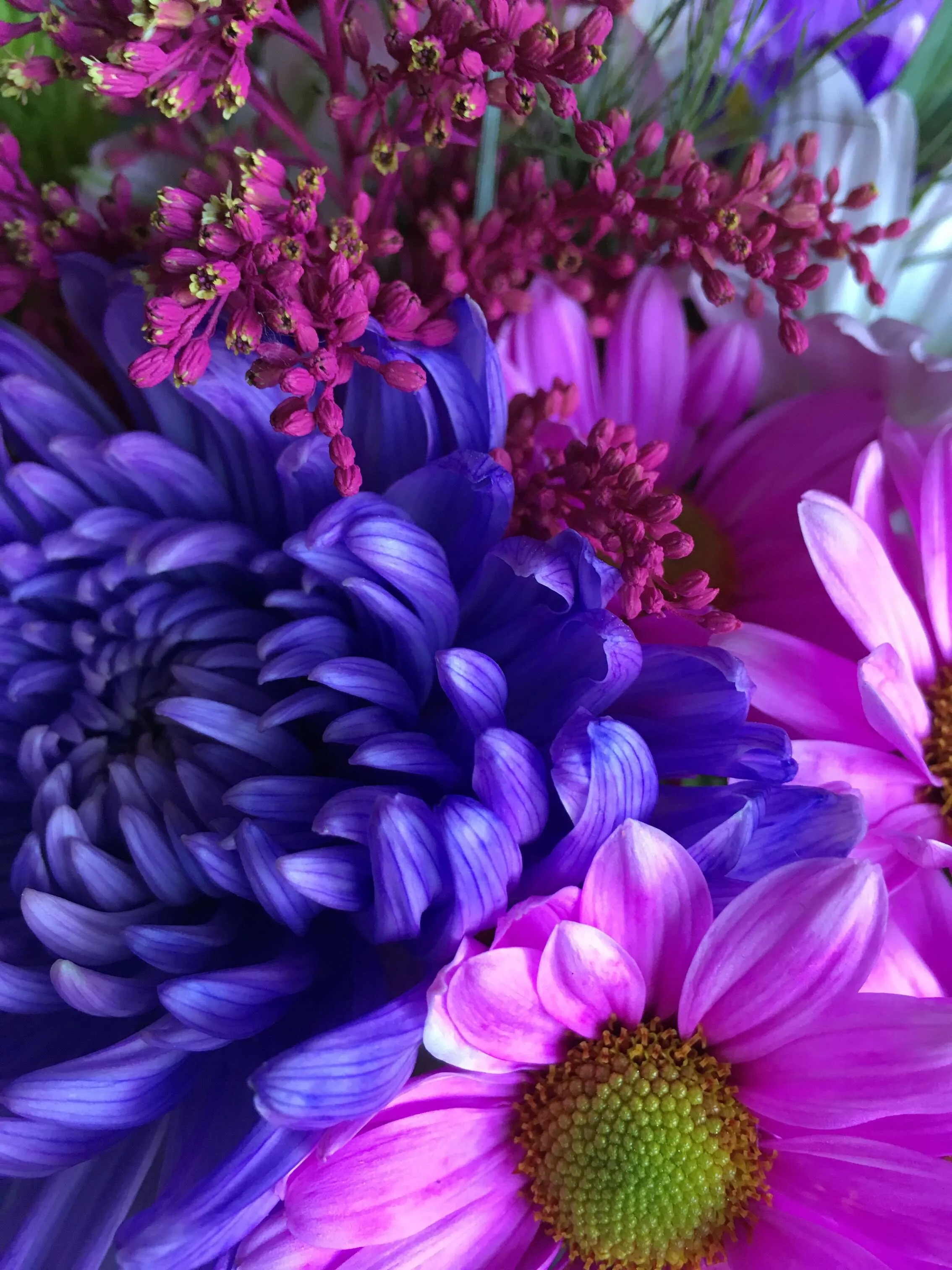 Fresh blooms