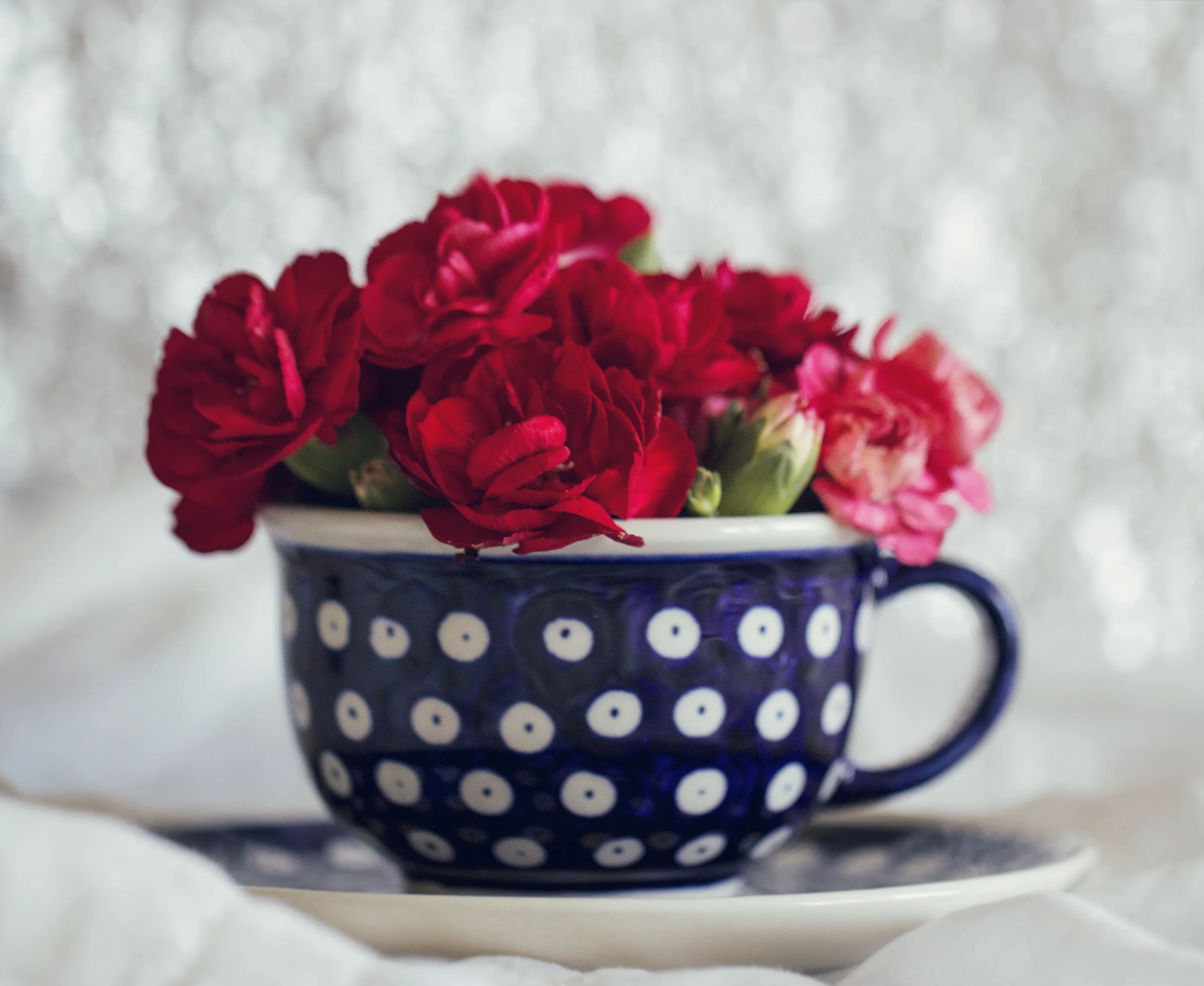 Carnations