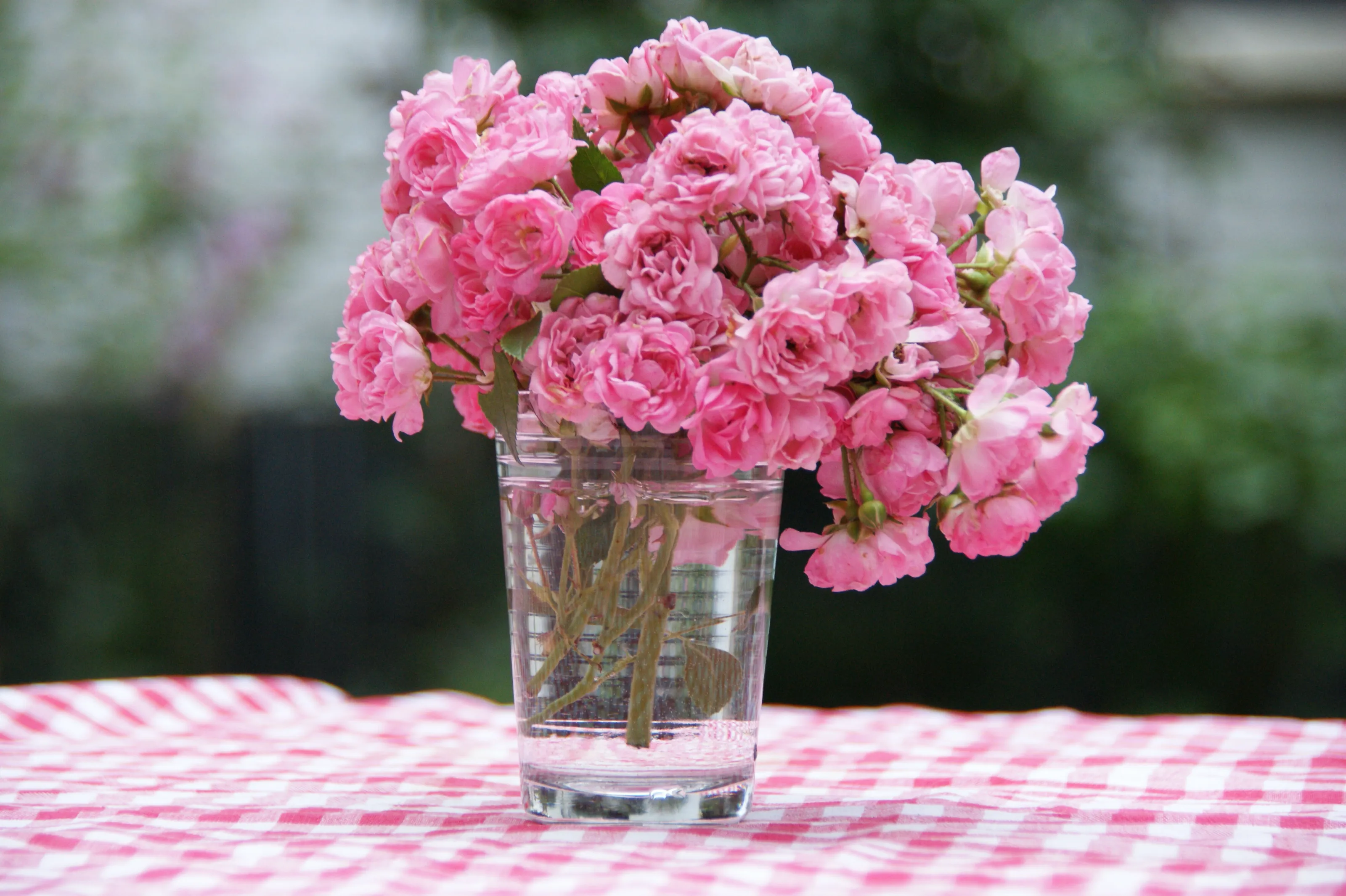 Flowers on a summer afternoon