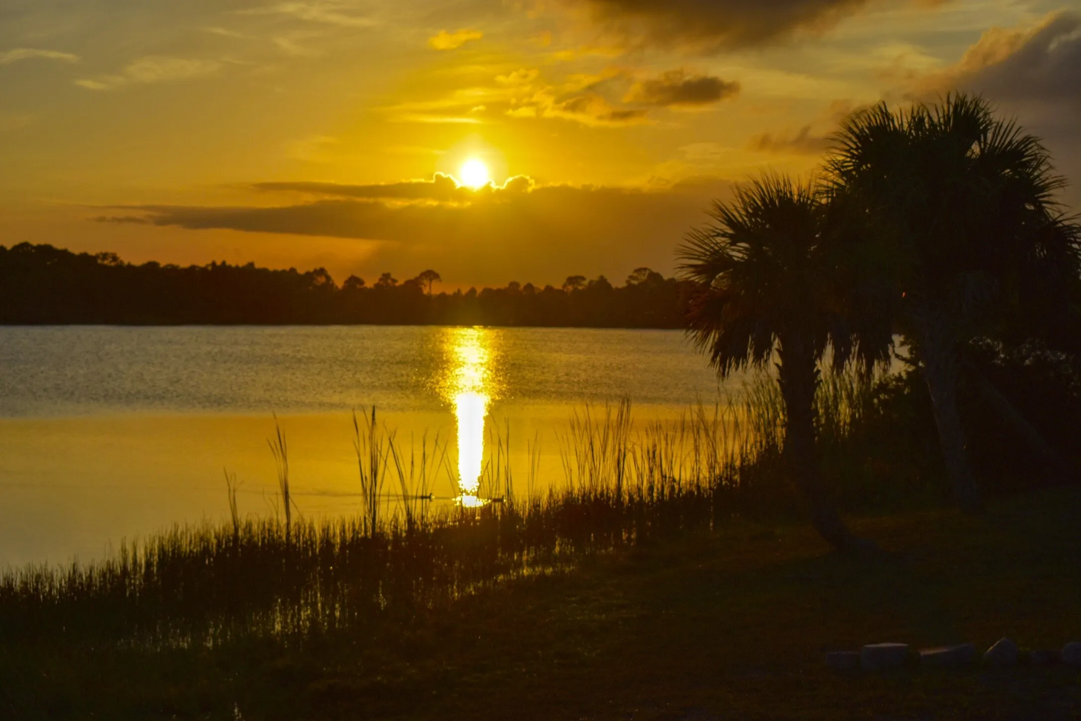 Spectacular Sunset