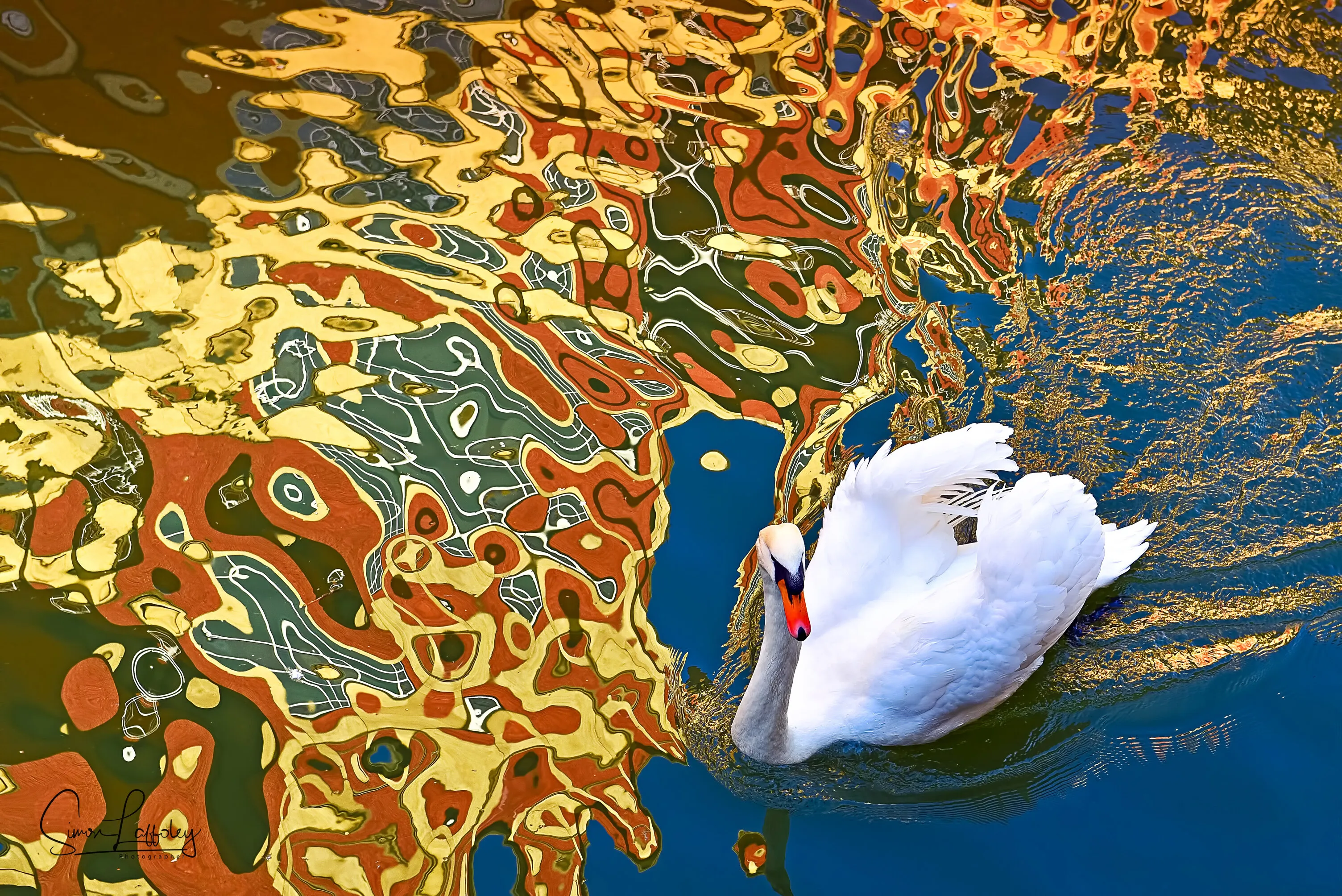 On Reflection