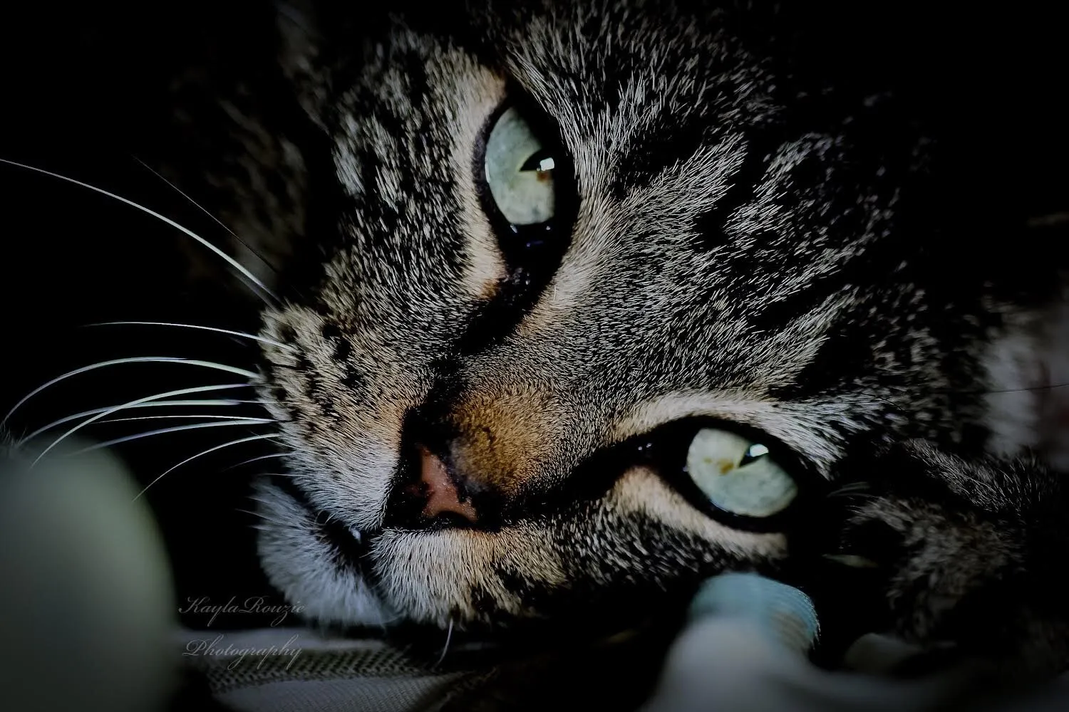 Daydreaming