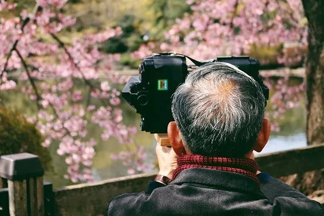 Blossom