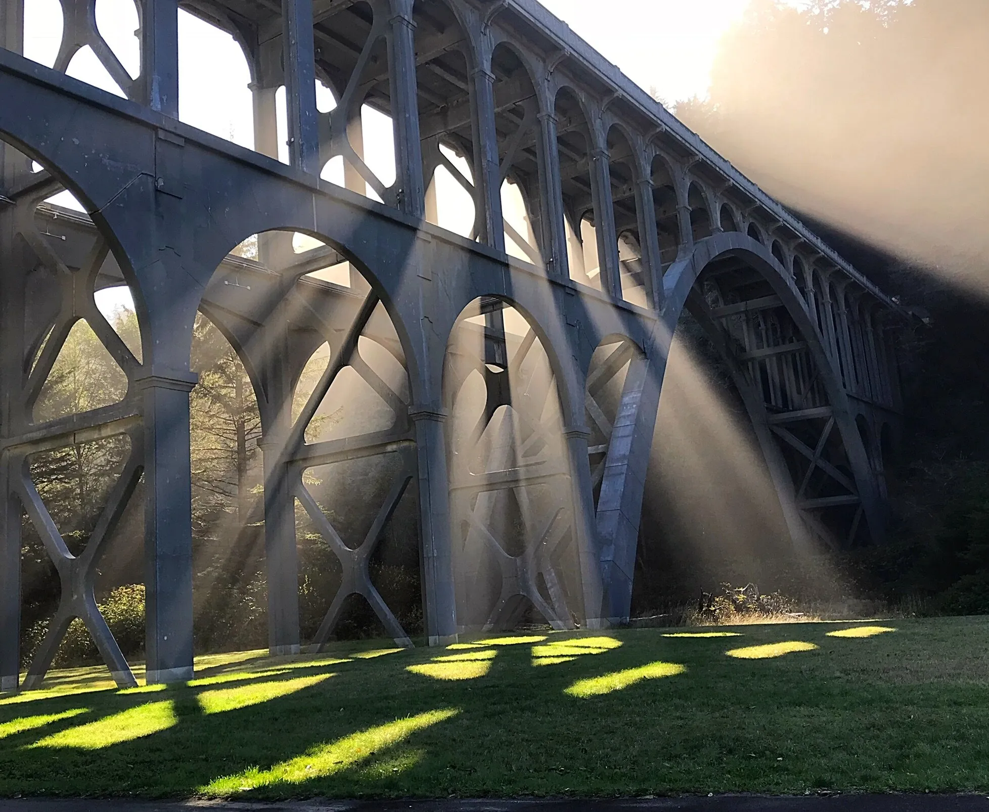 Bridge of light