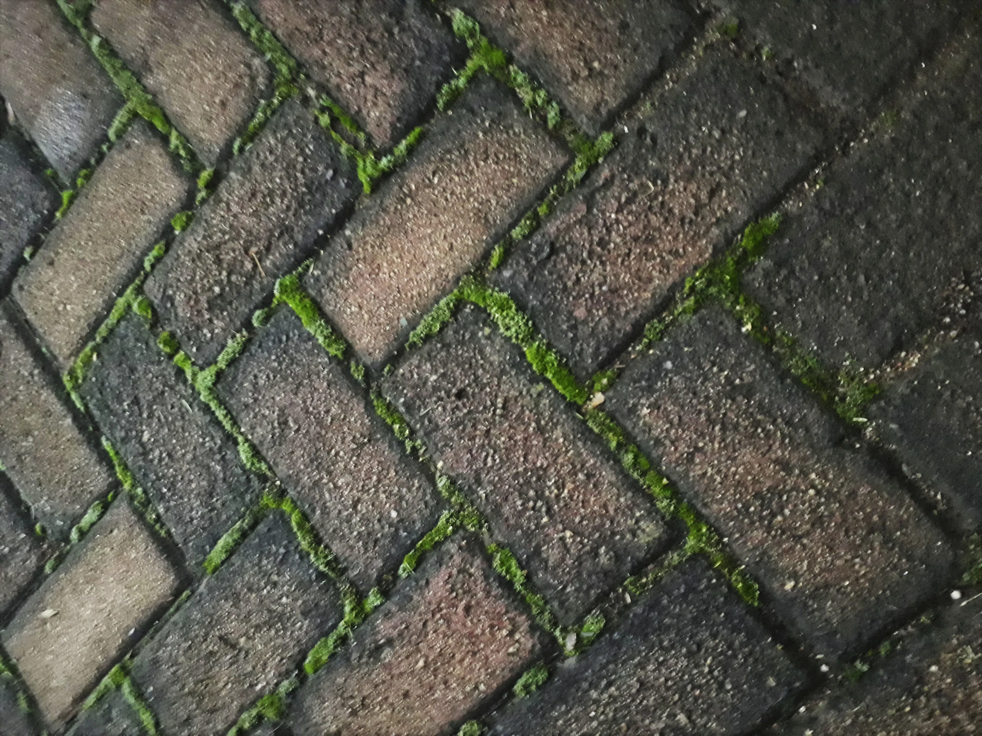 Banner image