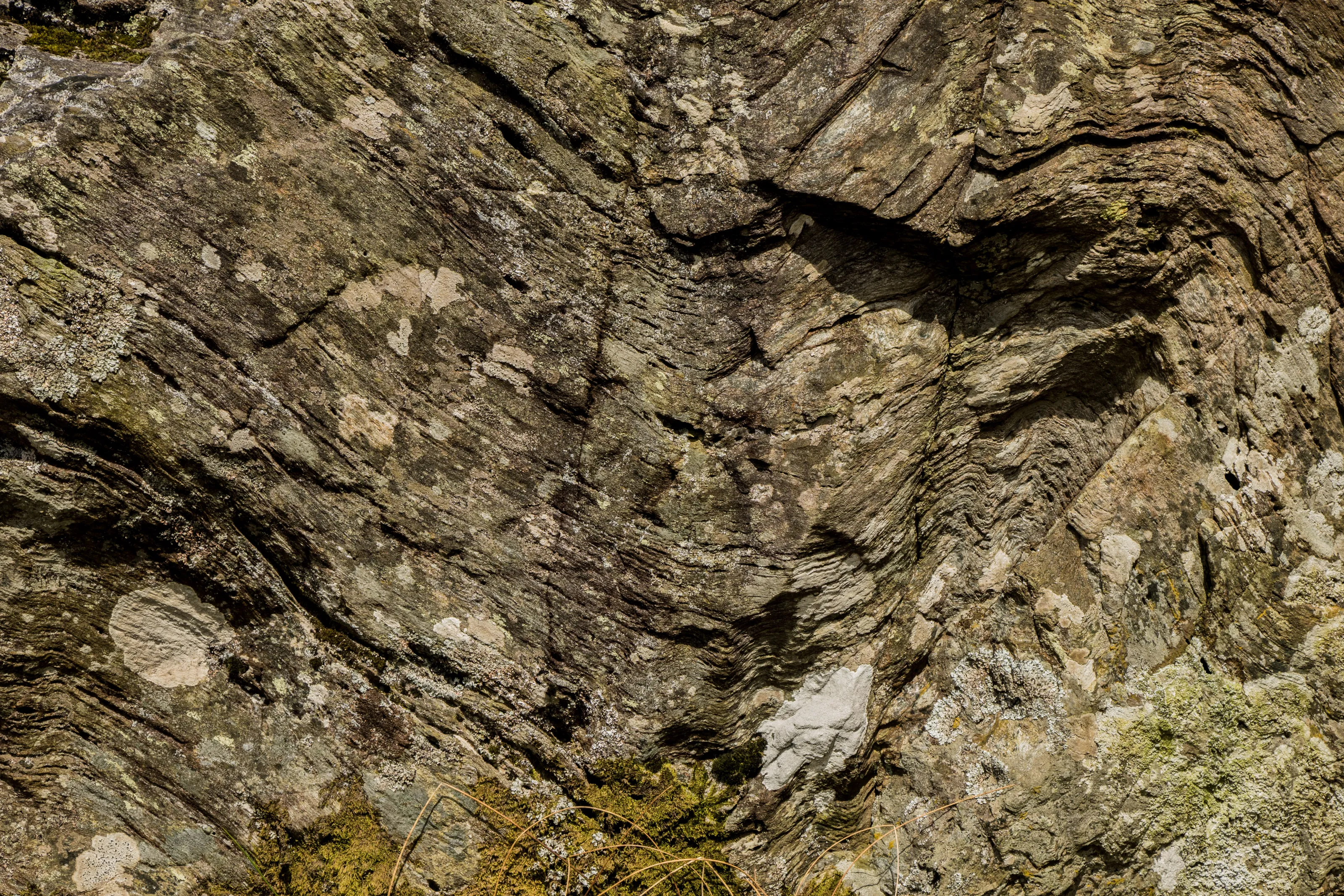 Rock