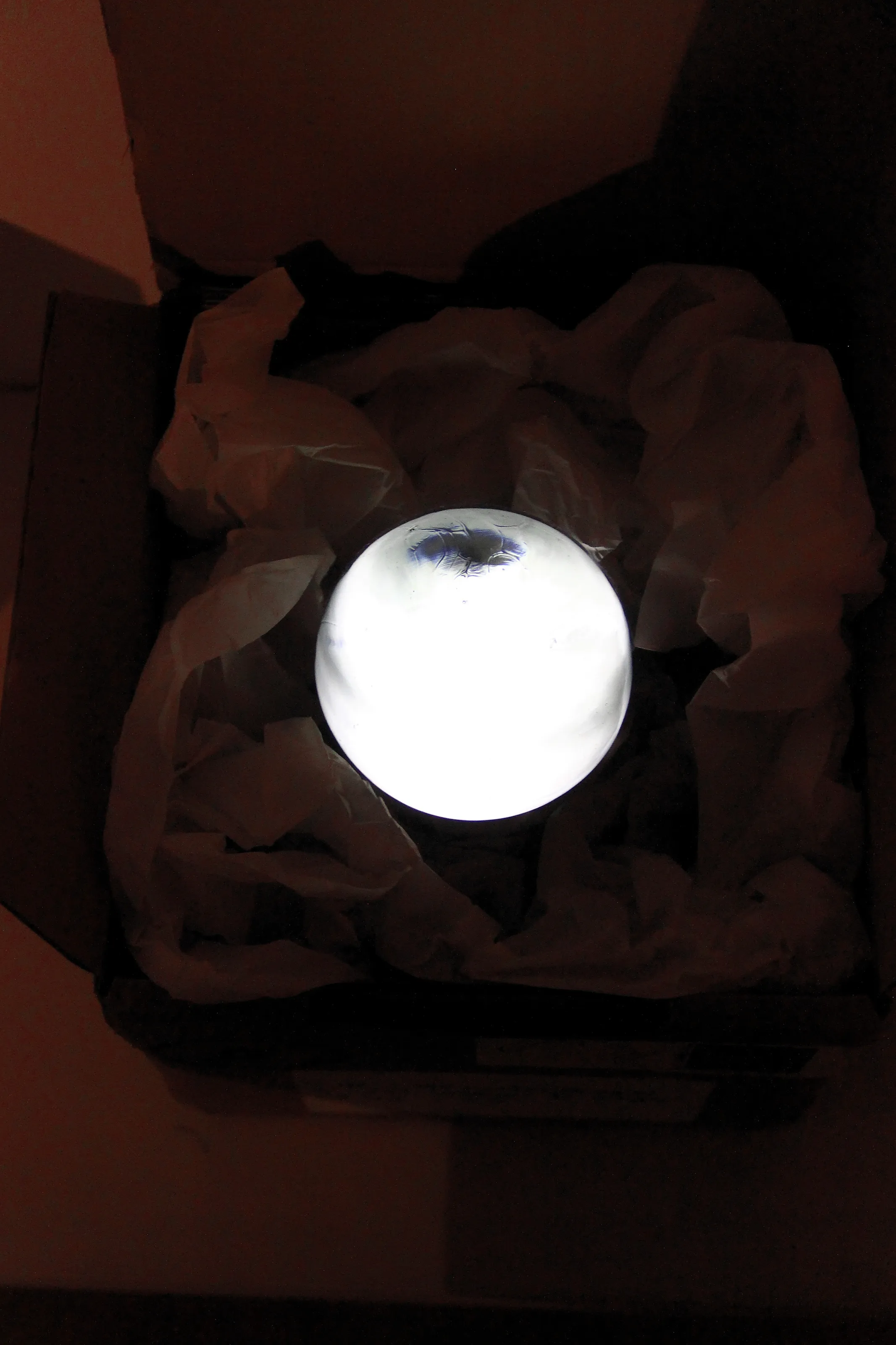 packed moon