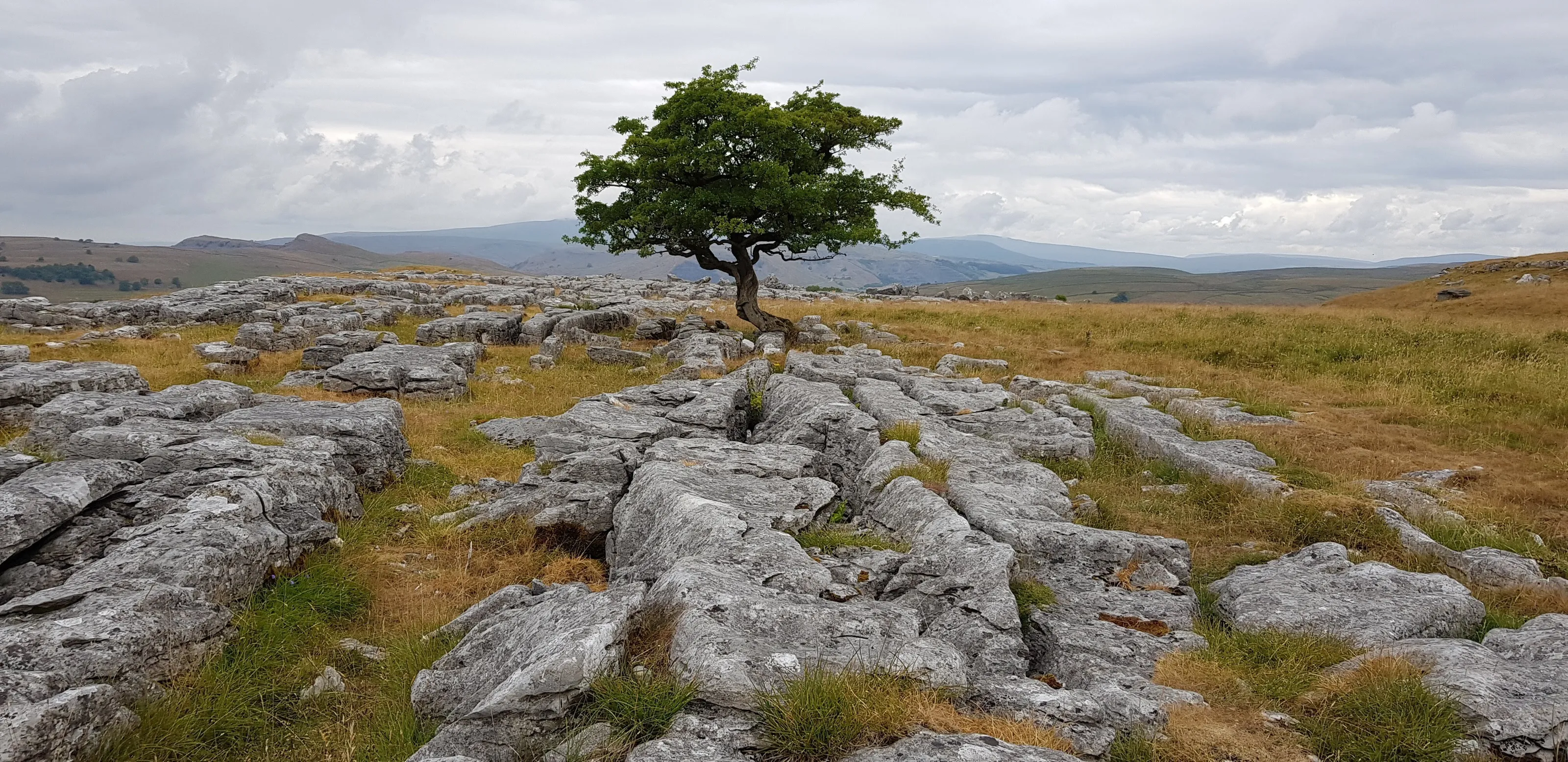Winskill Stones