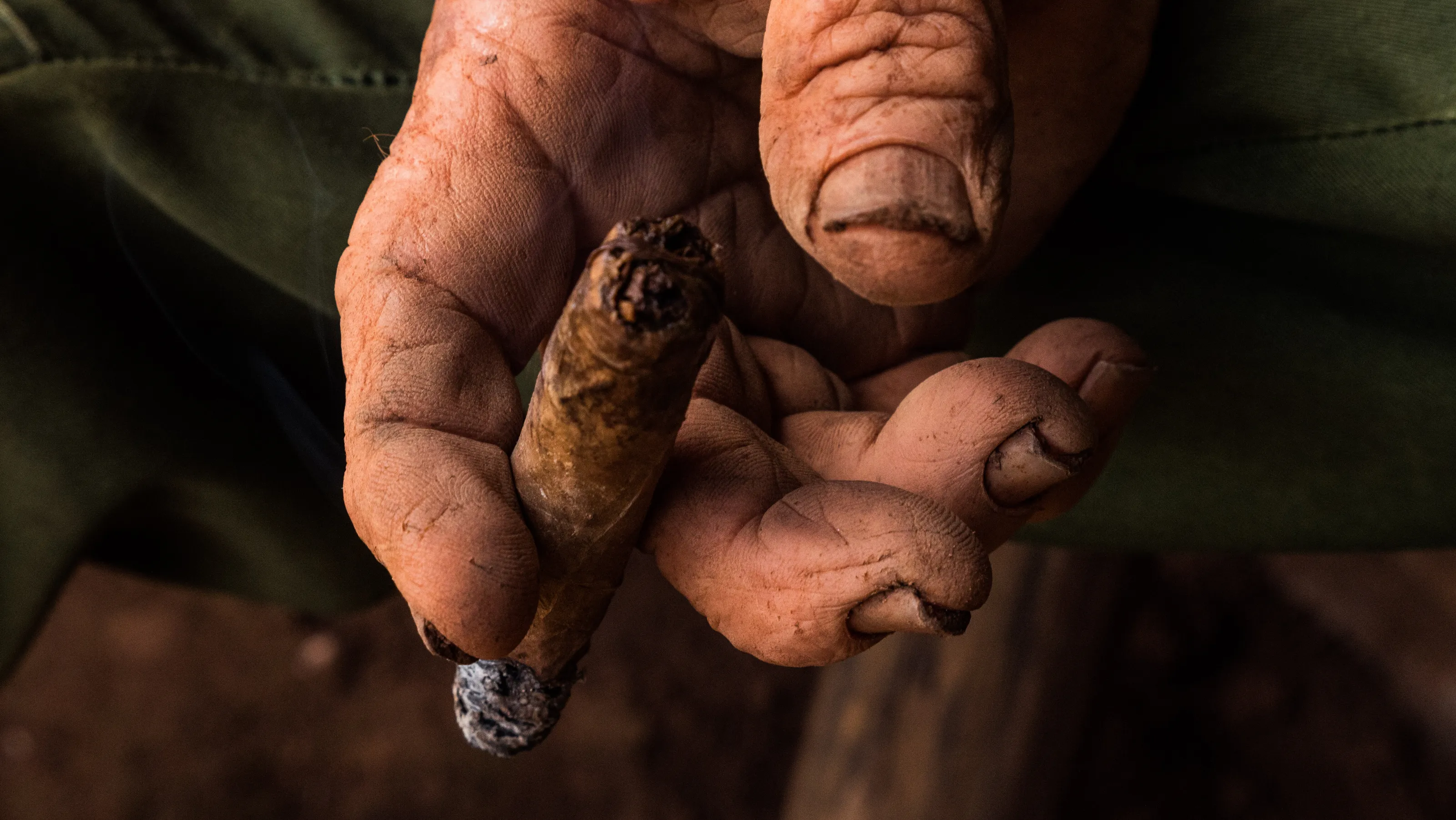 Farmer hand in Cuba