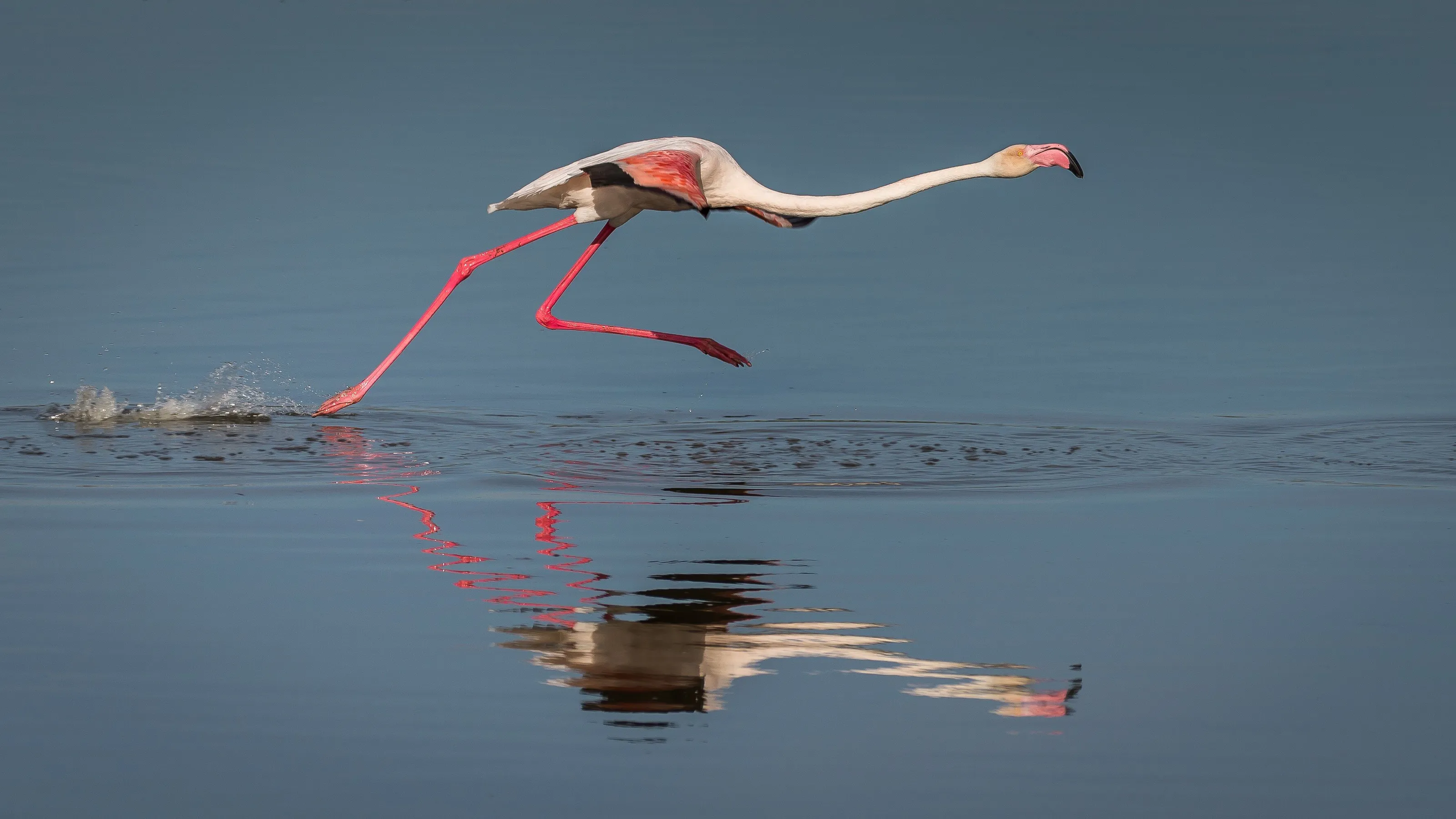 Lift off!