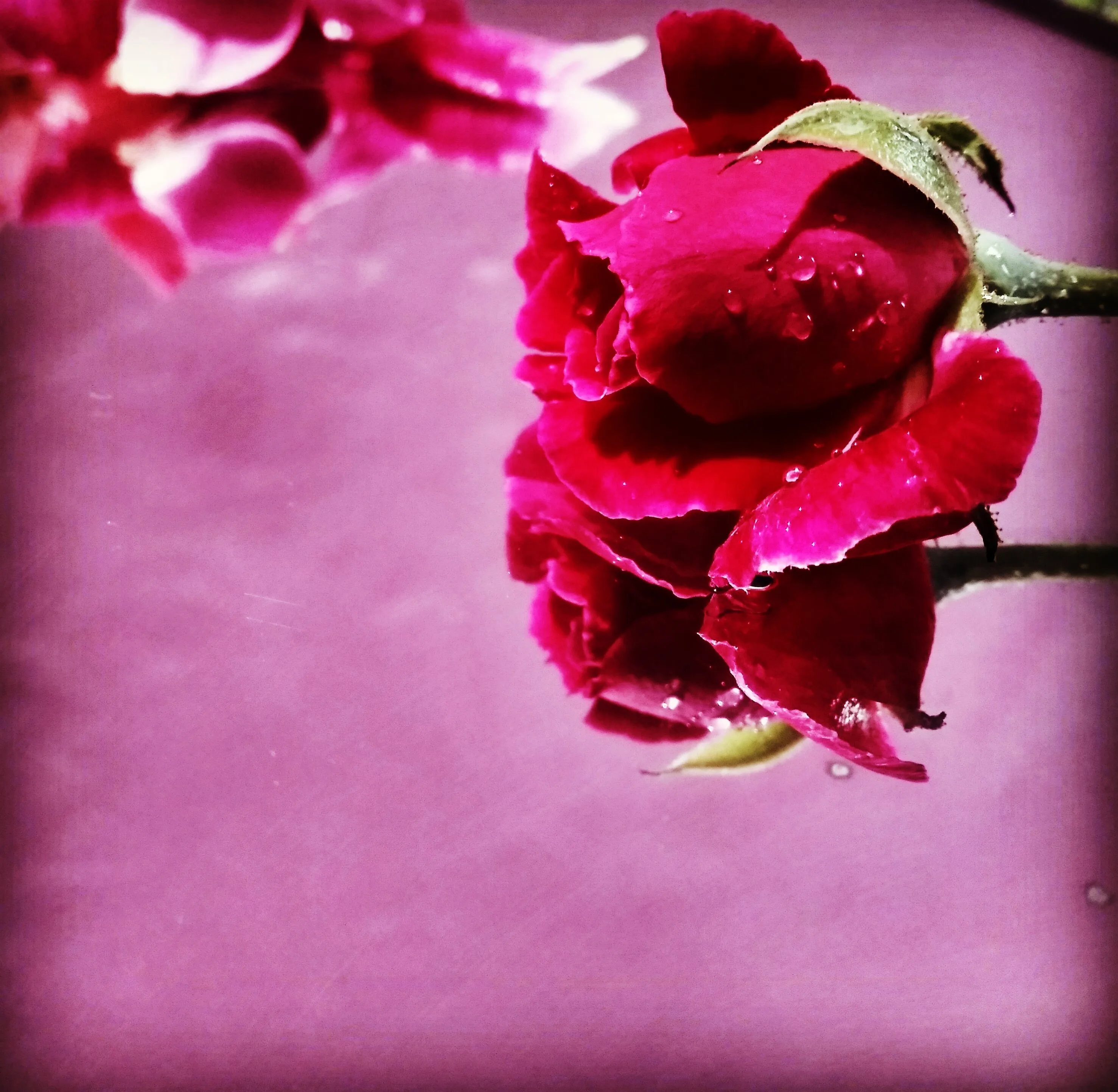 Rain drops