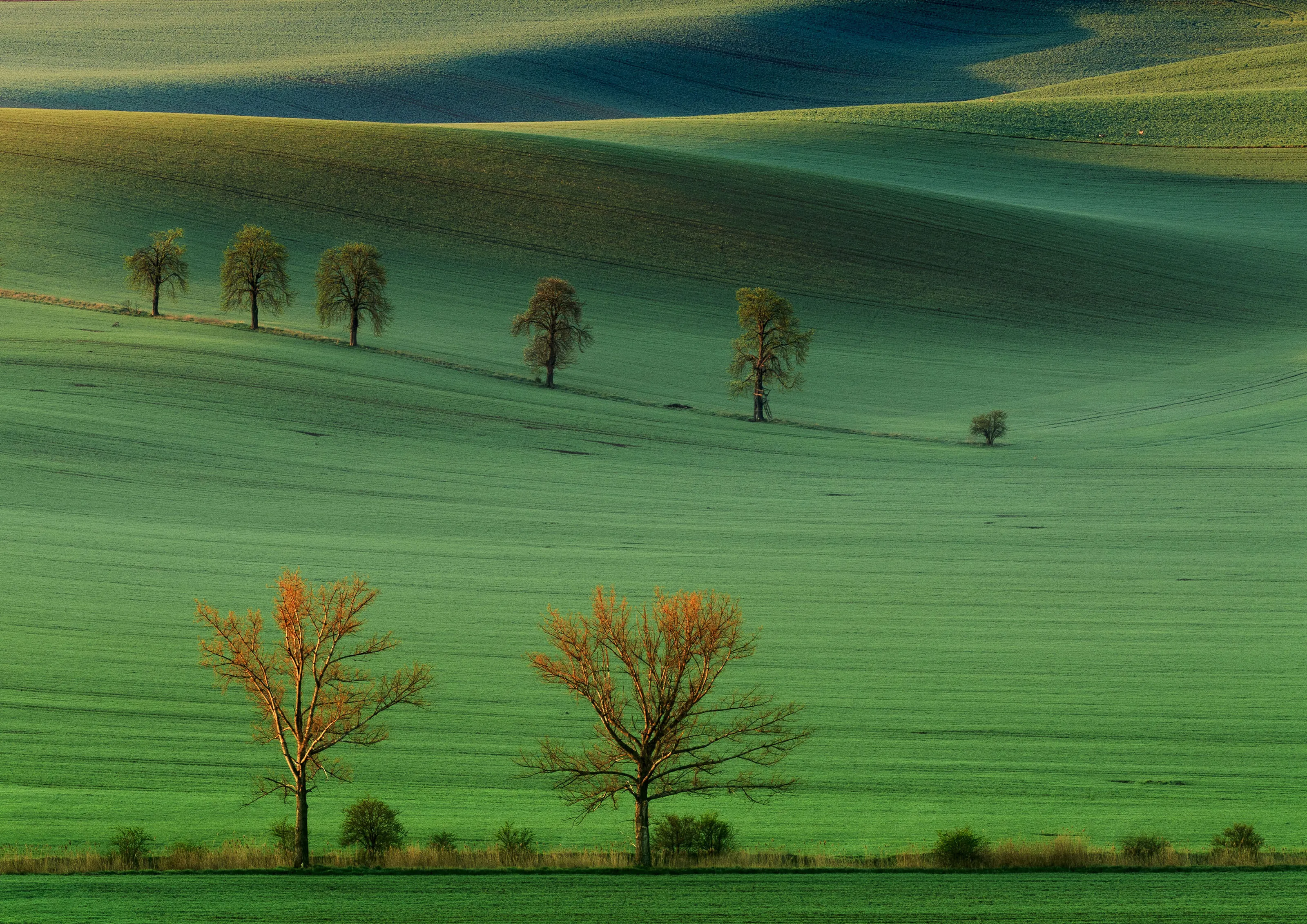 Moravia