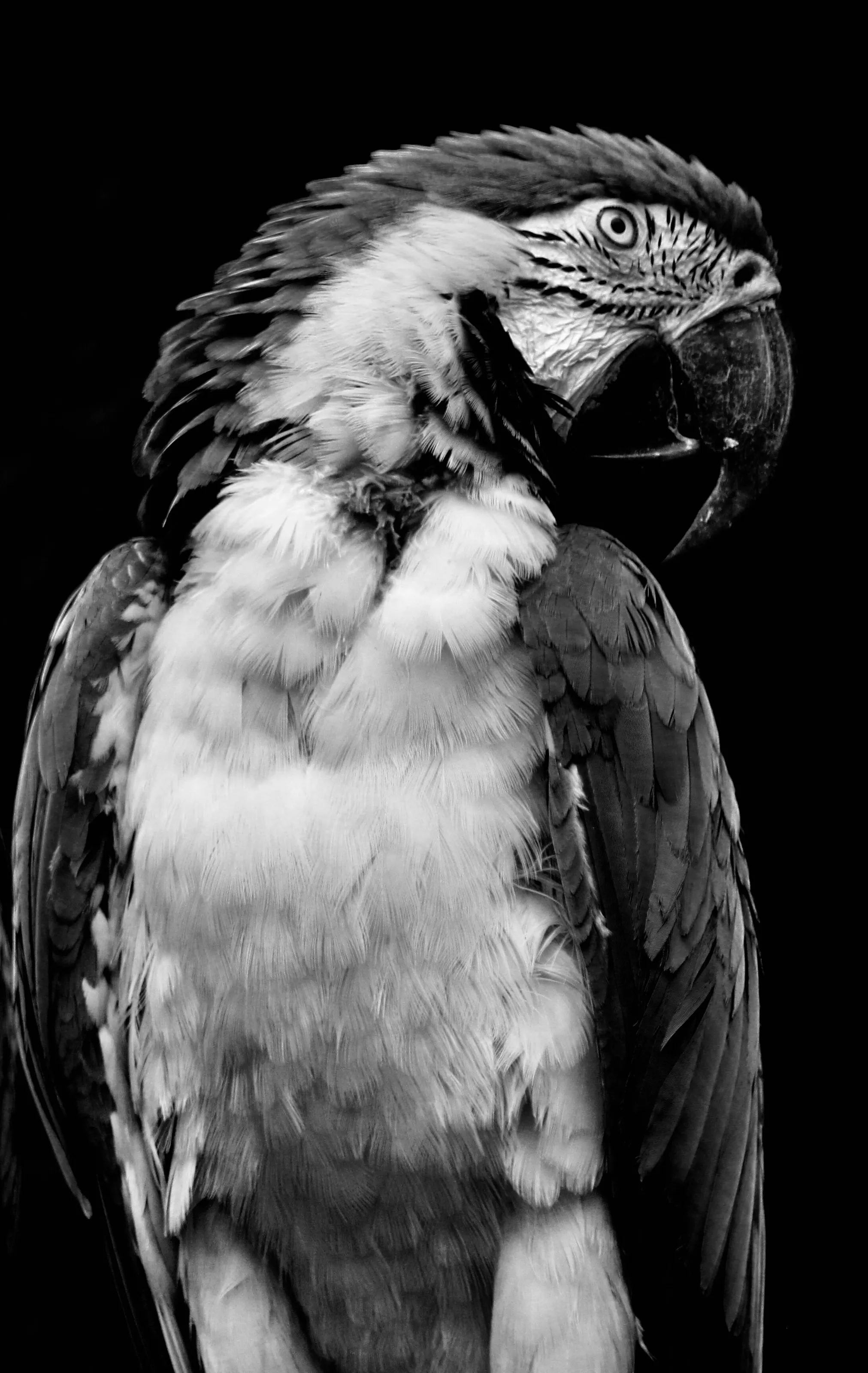 self contemplation