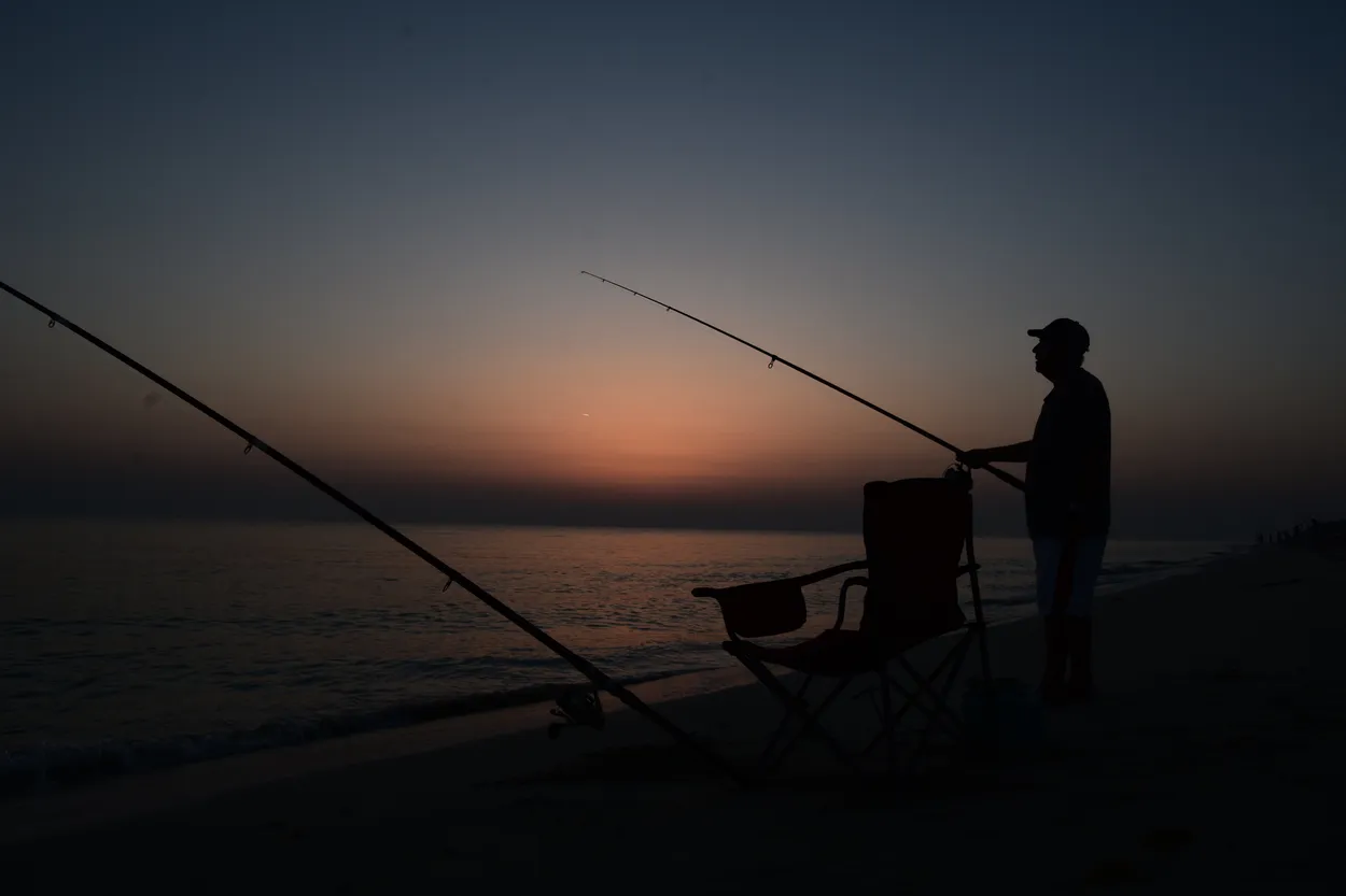 Entry 2476208