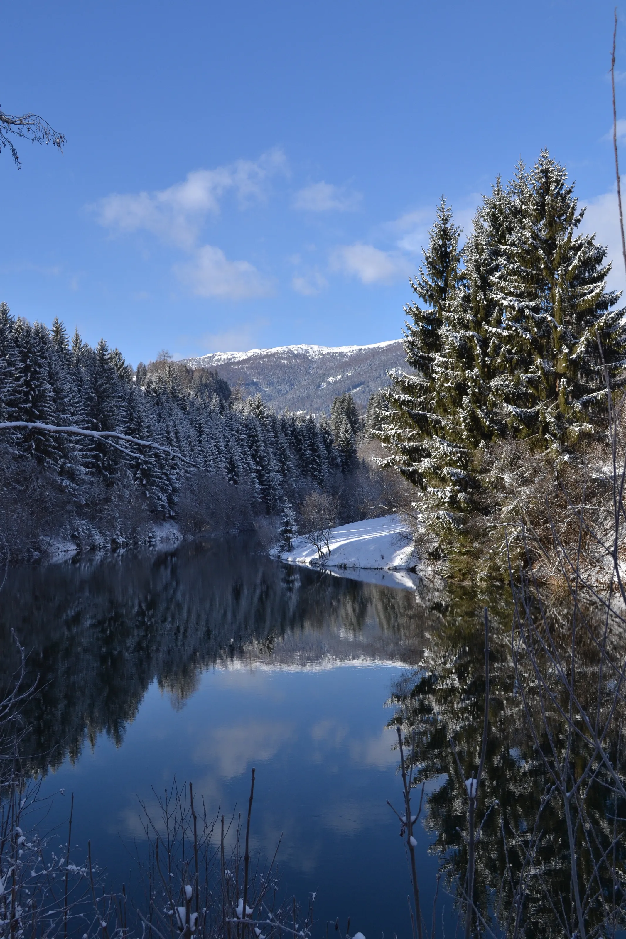 Bright day in winter