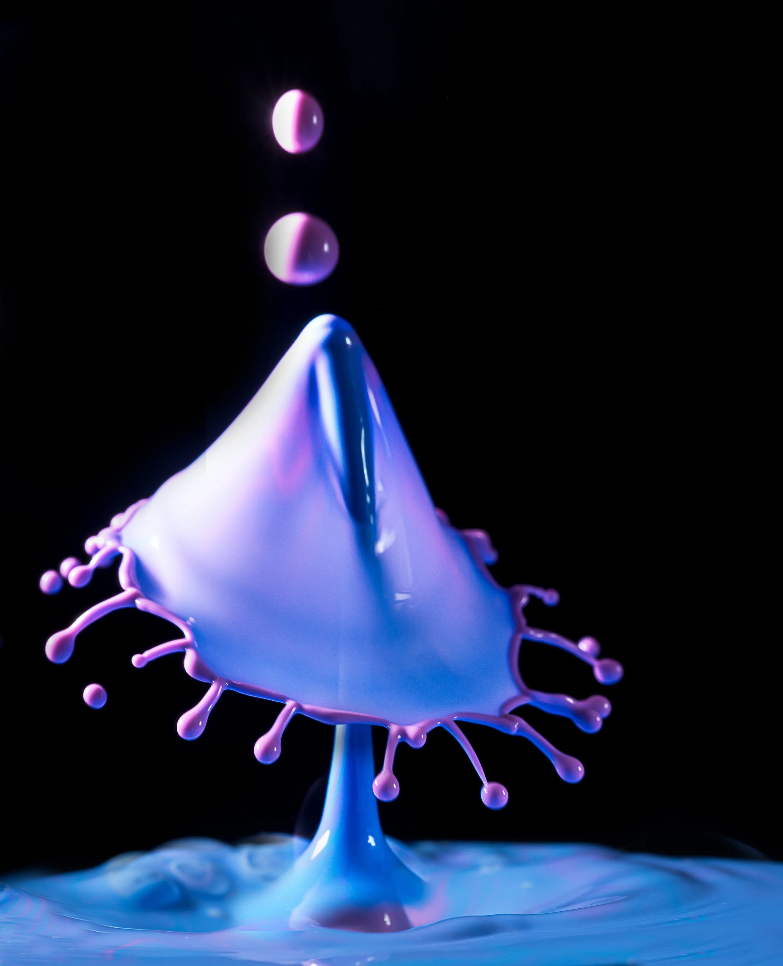 Umbrella