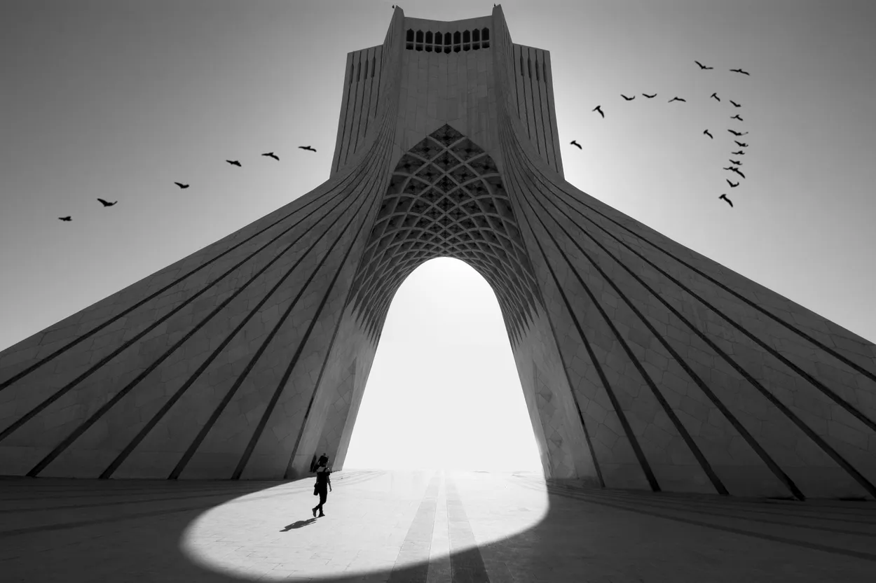 Free like birds