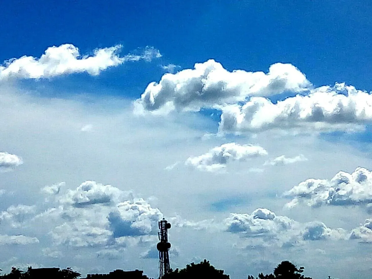 Cottonlike Clouds