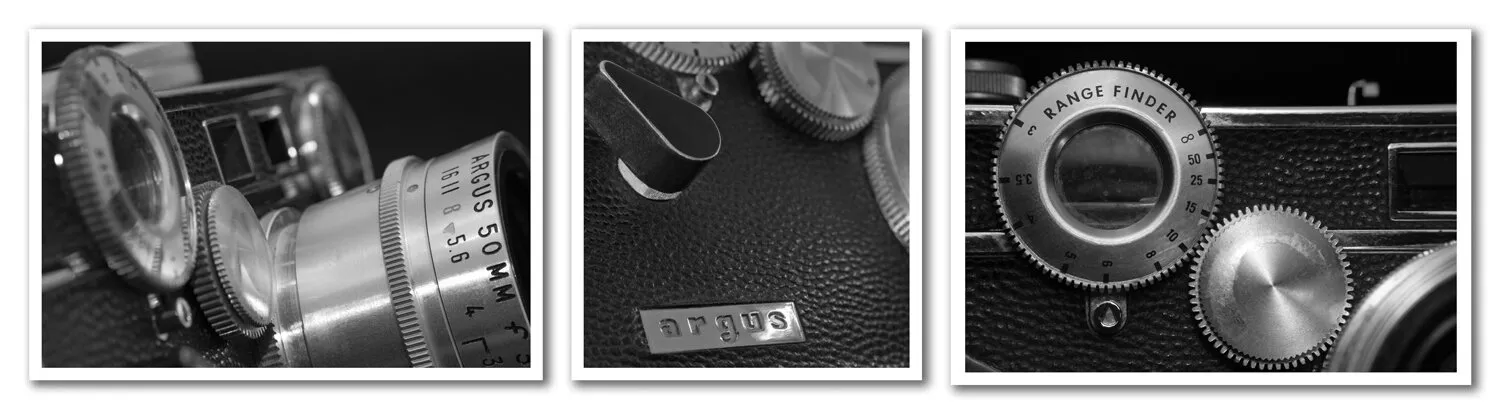 Argus triptych