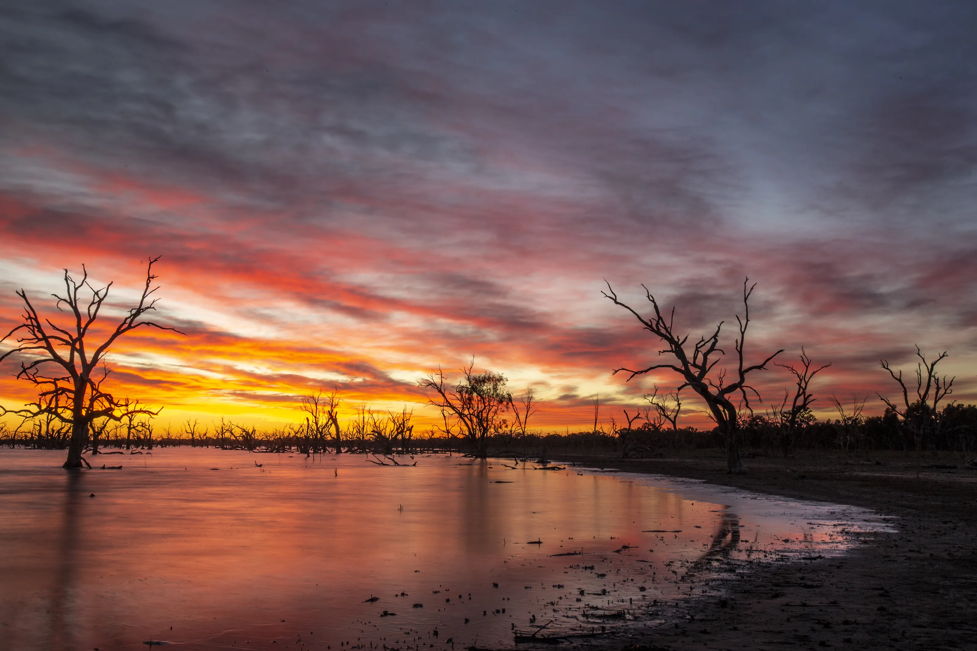 Outback sunrise