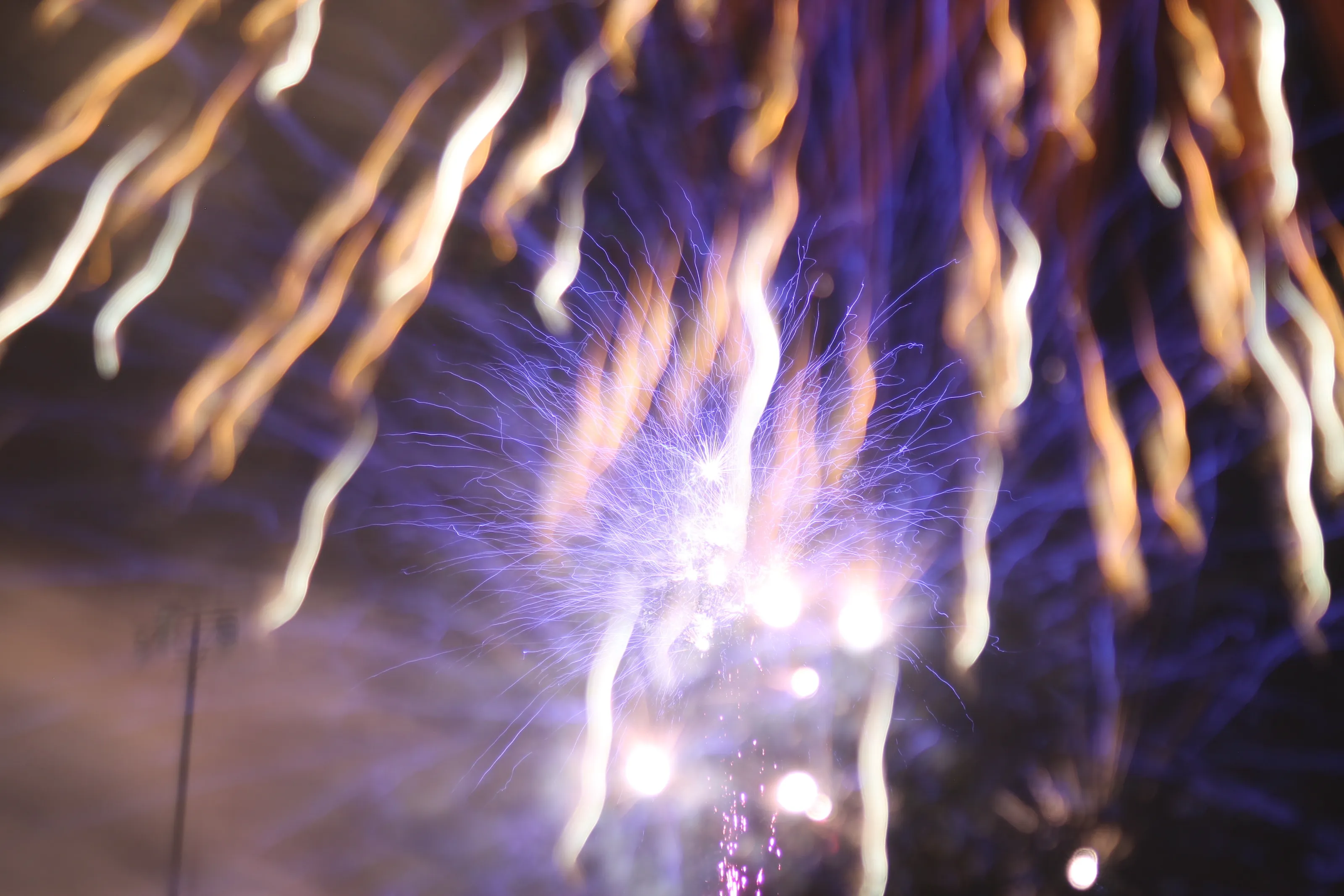Banner image